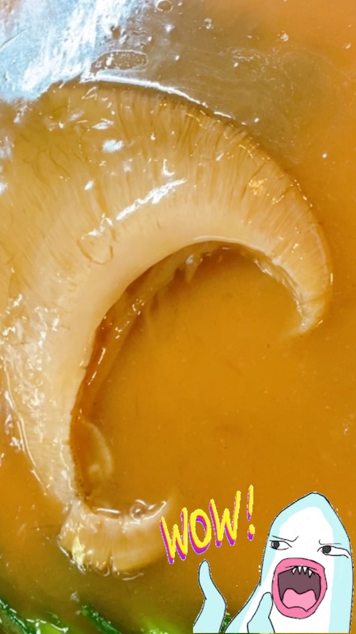 です♡
フカヒレの姿煮　お祝いサイズ　御予約ありがとうございました♡