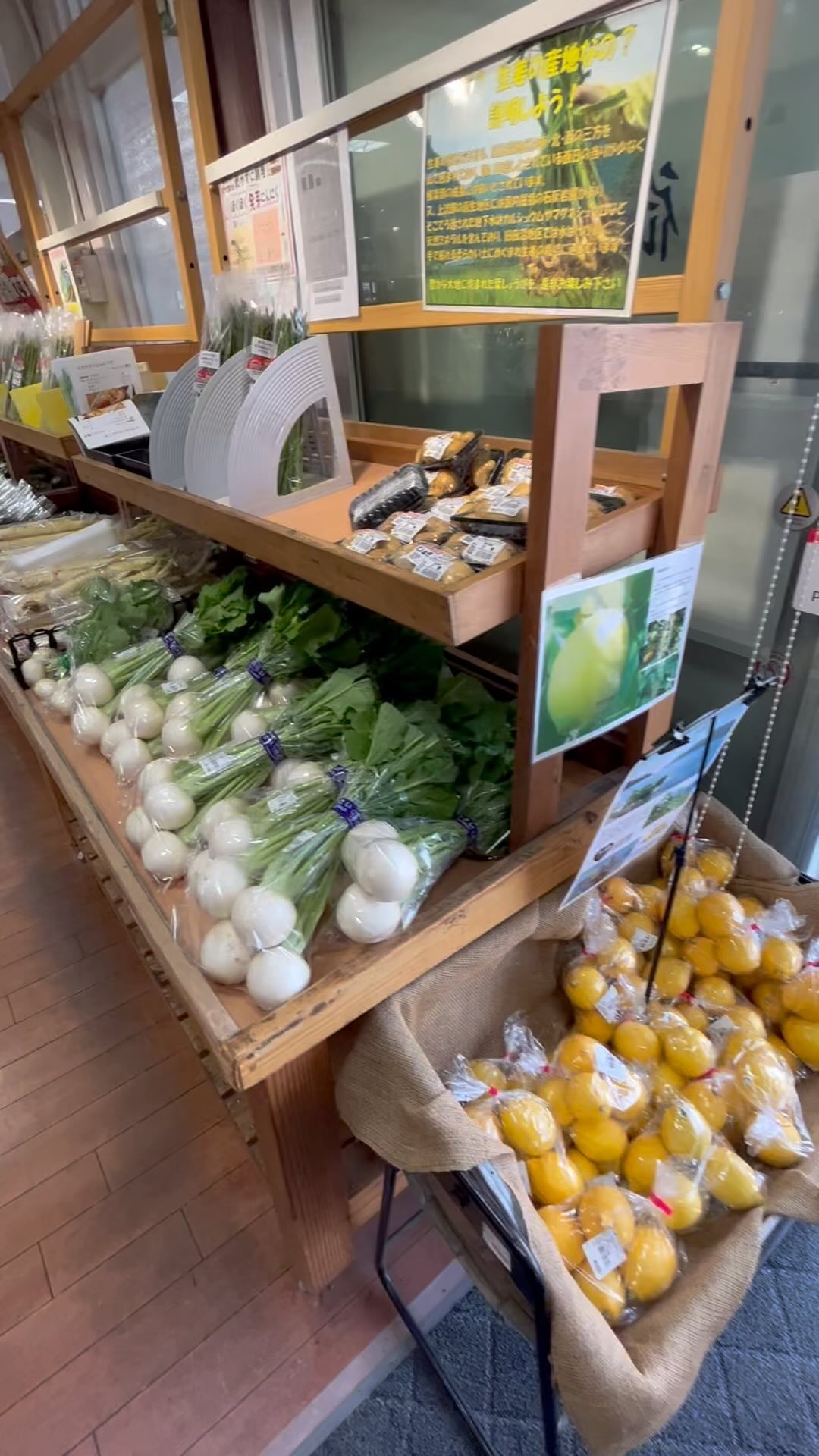 おはようございます。
いろんな野菜が入荷しています。

葉物中心にアスパラガスや大根も出ています。
お酒のつまみに、エシャレットも出荷始まりました。