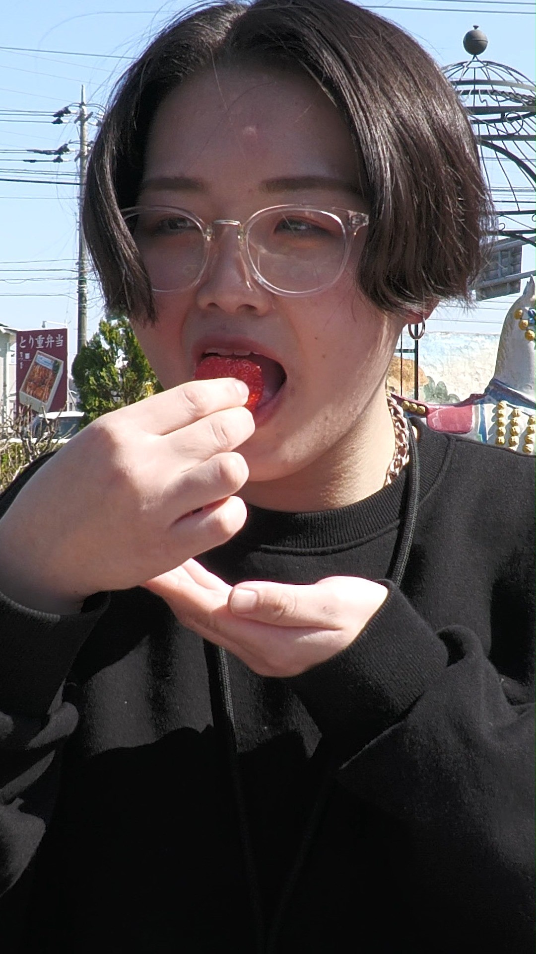 道の駅どまんなかたぬまは動画配信にも力を入れています！

今回は【利きいちご選手権シリーズ】をお届け！

大学の友達と遊びに来ていた『ホシコさん』の挑戦です！

果たして正解する事は出来たのか！？