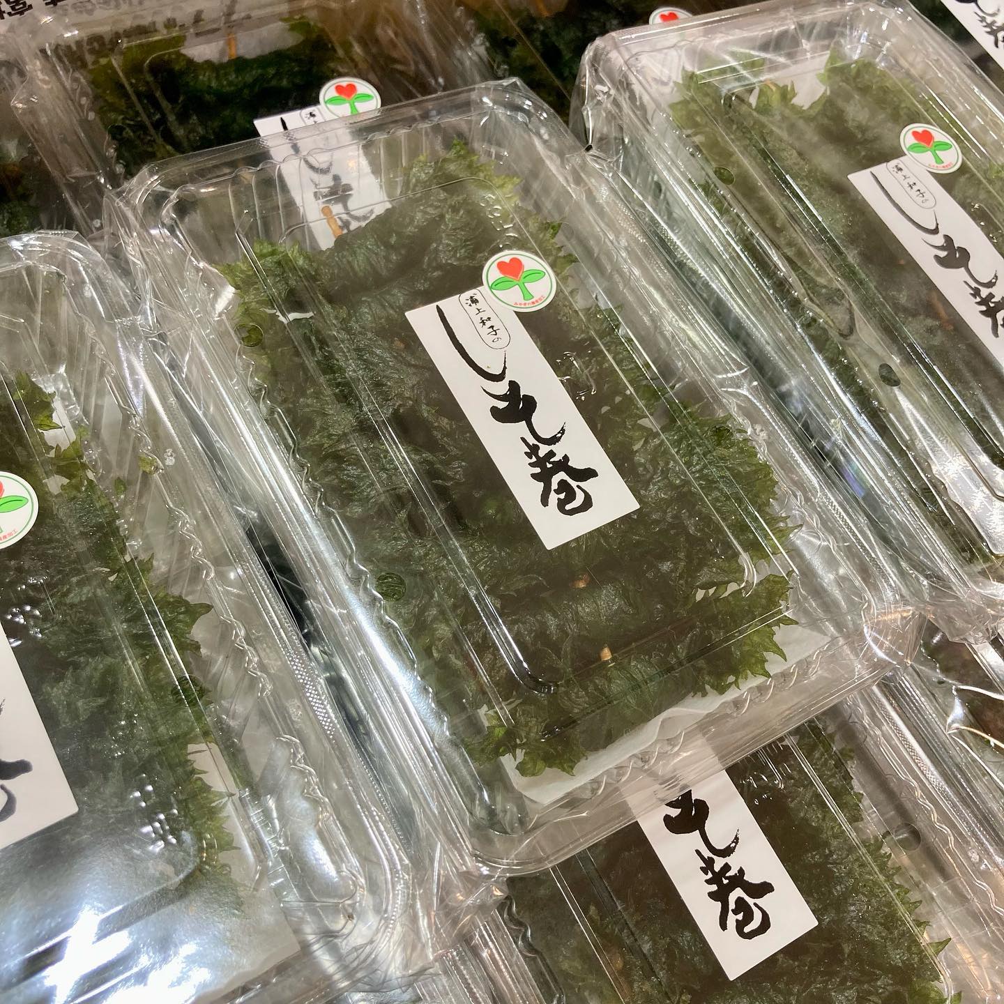 ・

 宮城フェア開催中！/

おすすめ商品のご案内です️

『しそ巻』

くるみ入りの甘辛い味噌を
しそで巻いて油で揚げた東北地方の郷土料理です！

ご飯のお供や、
お酒のおつまみにもおすすめです

本日も皆様のご来店お待ちしております️