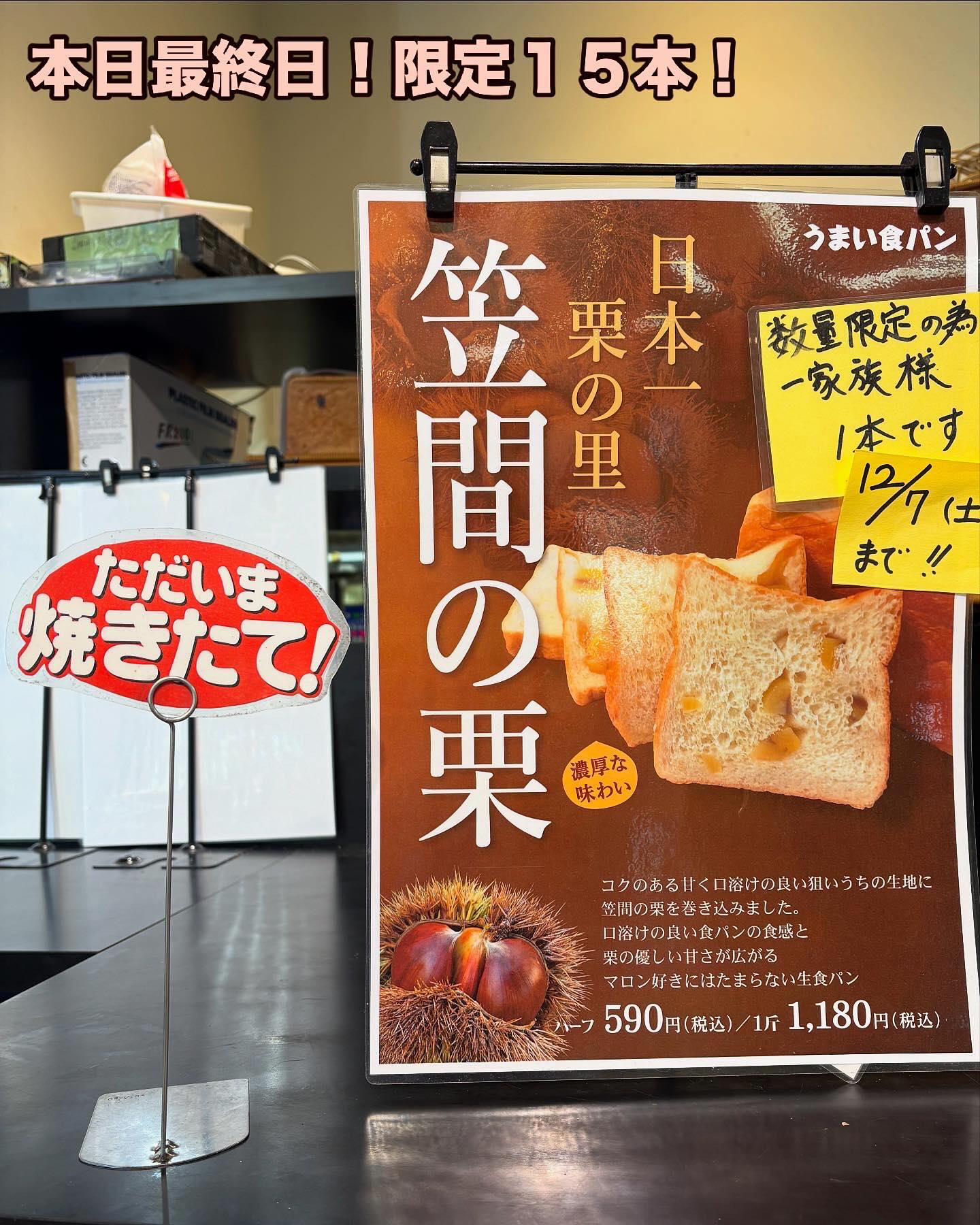 こんにちは！
うまい食パンです

笠間の栗食パン
一本  1,180円／ハーフ  590円

笠間の栗は本日が今年の販売最終日になります！
昨年からご好評いただき、リピーターの方も続出中です！
残り少なくなってきております️
早めのご来店をお勧めします
️店頭販売のみ、ご予約は承っておりません。

他にも美味しいパン多数ご用意しております！
おすすめなどもスタッフにお気軽にお声掛けください

焼きたてのパンと皆様のご来店をお待ちしております！