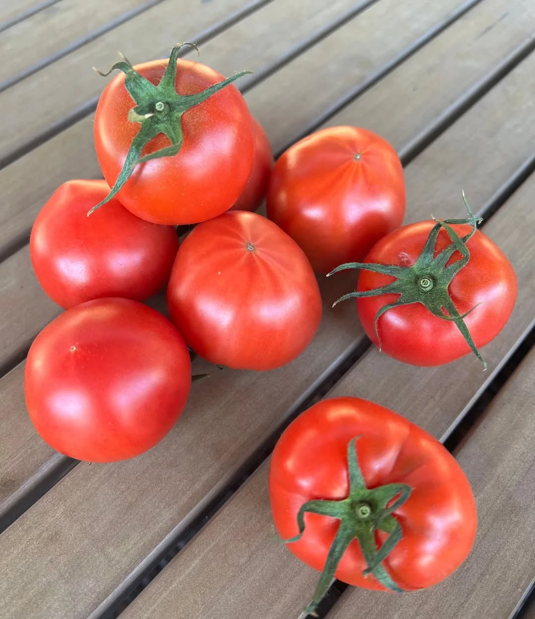 ◯
佐野市の さんのブランドトマト
よく「フルーツトマト」といいますが、
とは、
特別な栽培方法で作られた のこと。
【おかトマト】も
高糖度で甘く濃厚な味です️
には主に8度や9度のものが出ていますが、
希少な11度のものが出ることも!
おかトマト、
値段はお高めですが、
一度は食べてみる価値のあるトマトです
ぜひご賞味ください❢
#