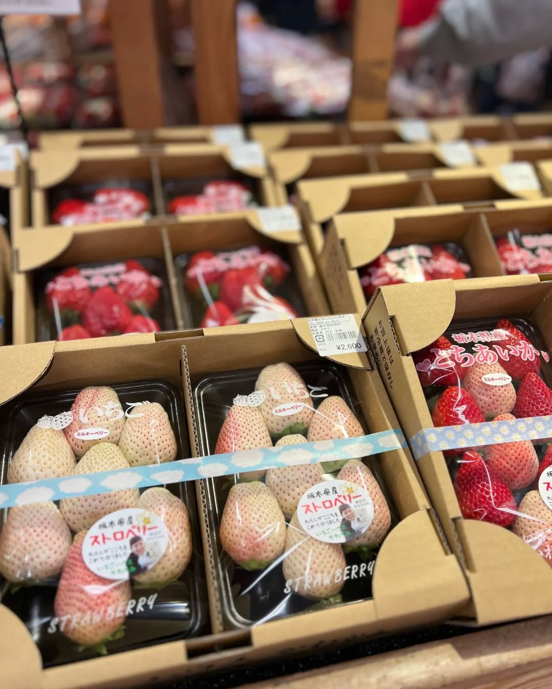 ◯
今日は寒いですが、
は賑わっています！

今日も がたくさん出荷されています

長野から も届いています





#