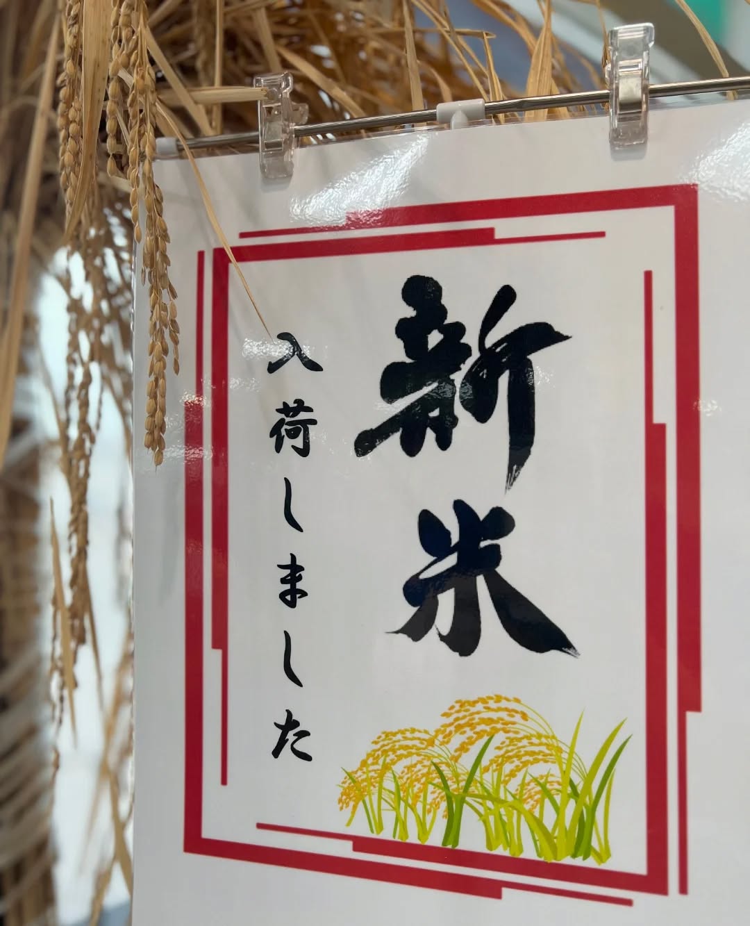 ◯
が入荷しました！

関東でいち早く収穫される
（千葉県産）です

日本人はやっぱり 
稲は、いのちの根っこ
ご飯を食べて、パワーをつけましょう