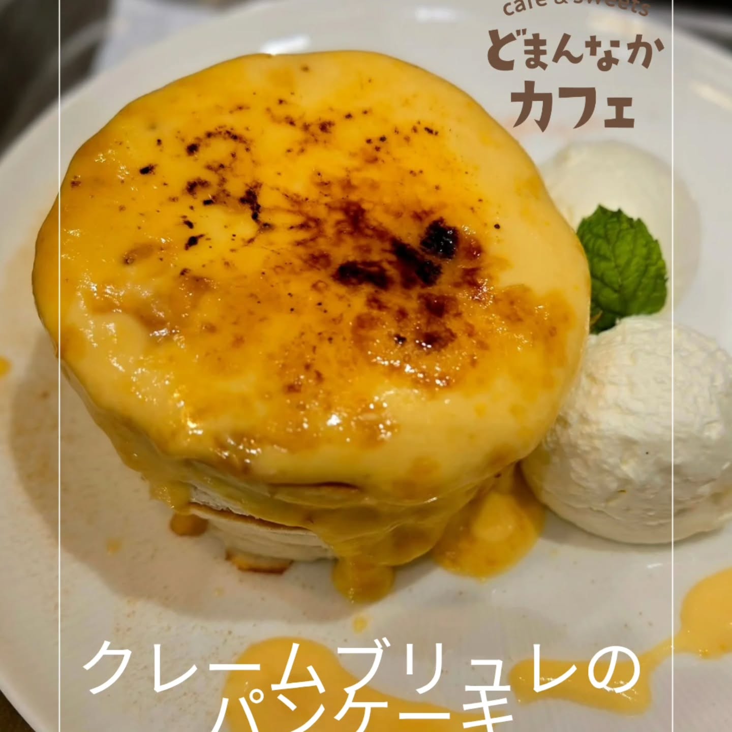 です

今日のおすすめはクレームブリュレのパンケーキです

佐野のブランド卵『寿宝卵』の卵黄でお作りした自家製カスタードをクレームブリュレのパンケーキしました🥞

フォークで表面をコンコンしてみてくださいね！
