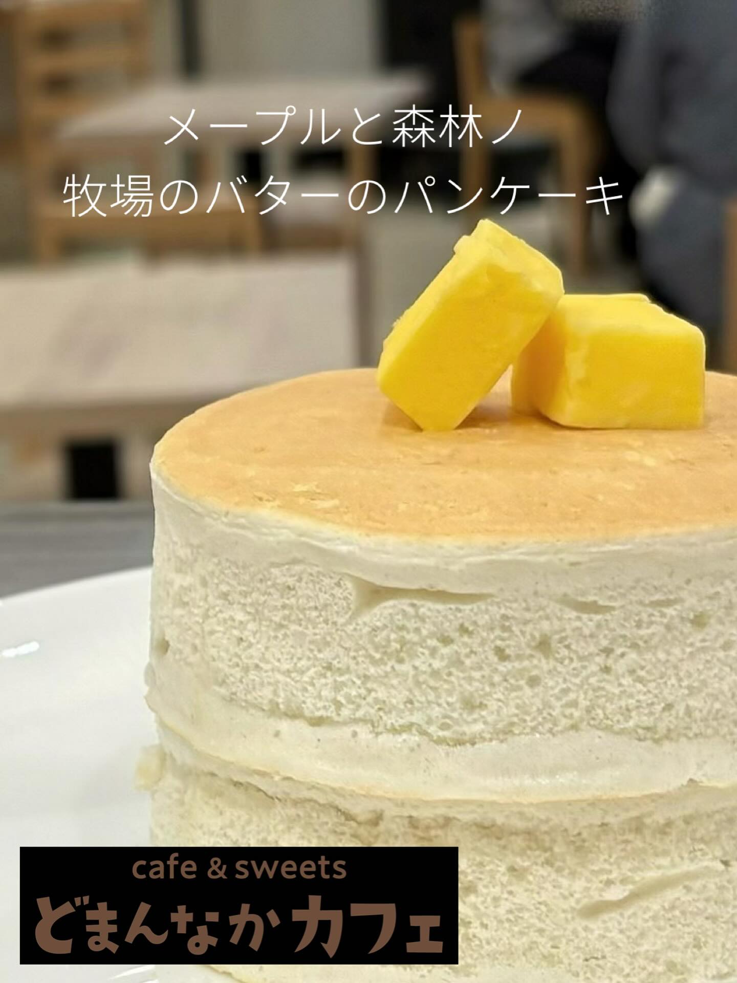 こんにちは
本日ご紹介はメープルと森林ノ牧場のバターのパンケーキ🥞です珈琲、その他ドリンクとのセットがおすすめです‍♀️
