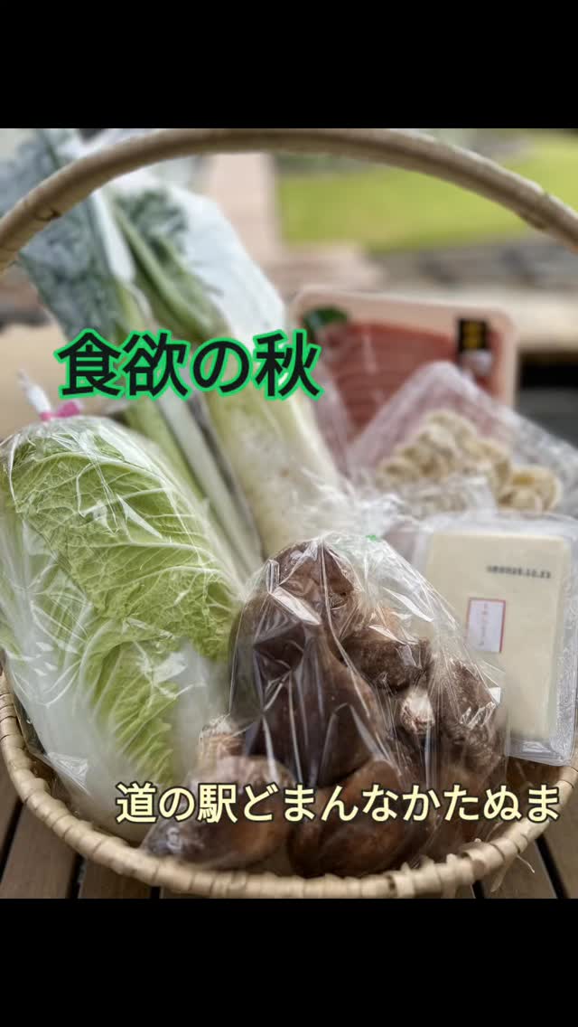 ◯
朝晩涼しくなってきましたね️

朝採り館に が並び始めました。

そろそろ の季節
朝採り館の で
栄養満点お鍋はいかがですか？