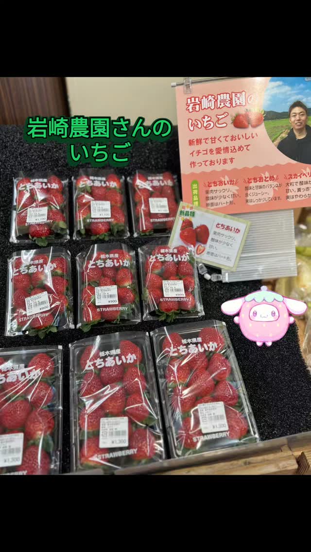 ◯
# 
今年 ！

岩崎農園さんの【とちあいか】

これから少しずつ出荷されます。
出荷量は、その日によって変わります。
ご了承下さい