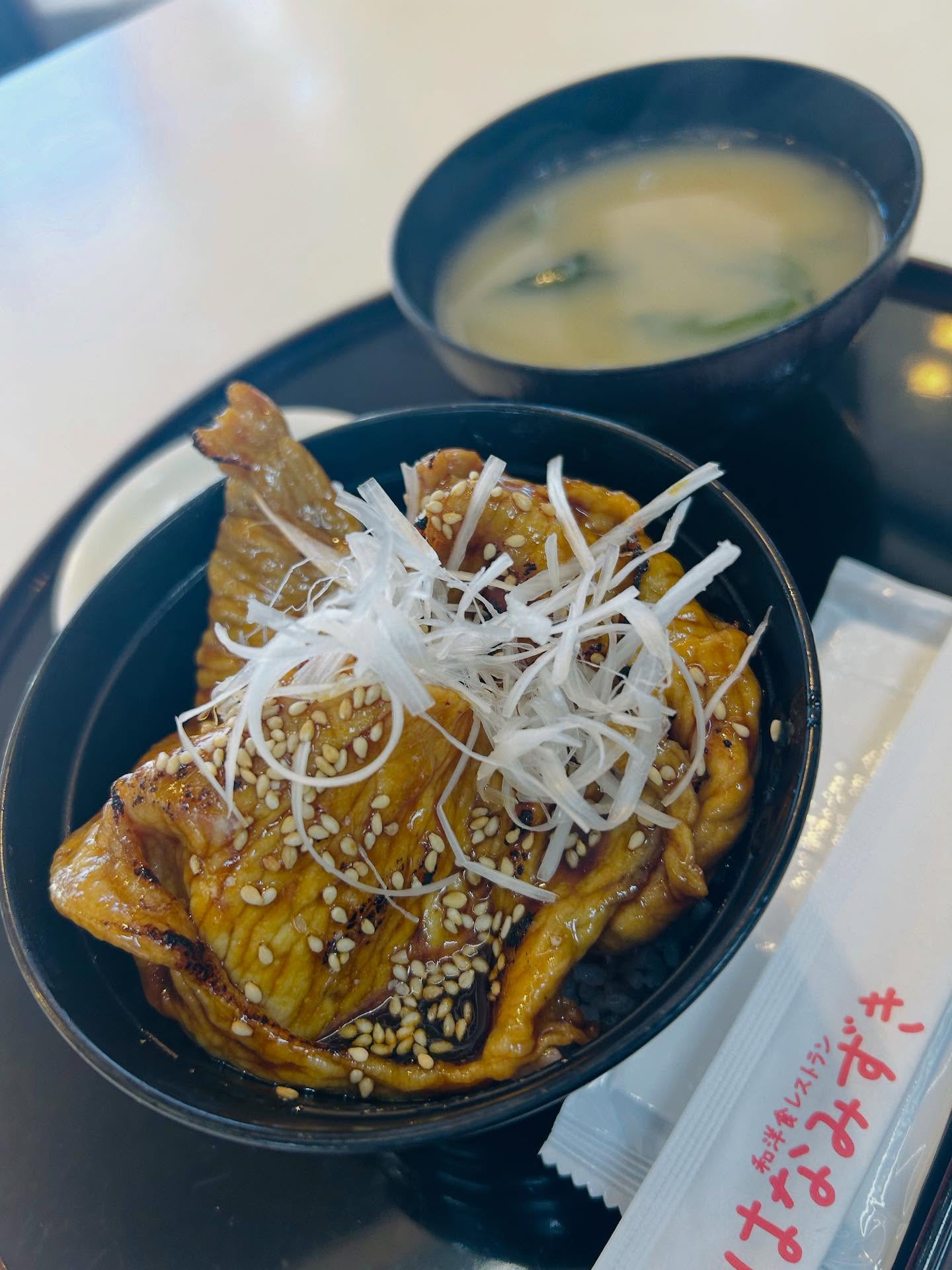 こんばんは
只今、 では、
北海道フェアを開催中♪

はなみずきは、【十勝豚丼】を販売中！
甘だれが香ばしい豚丼を
是非、お召し上がり下さい♪

※写真は、小盛りぶた丼です