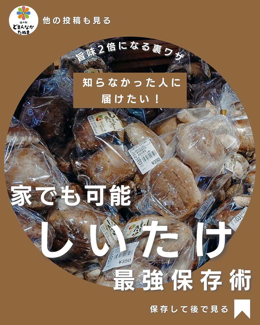 冷蔵庫でしなしなになった椎茸。
もしかして捨ててませんか?
どまんなかたぬまでは、
肉厚で香り高い新鮮椎茸が今日も並んでいます
次の買い物でぜひチェックしてみてください!
椎茸をご購入されたそこのあなた、
実はちょっとしたコツで旨味2倍&長持ちするんです
今日からできる【椎茸の最強保存術】をご紹介!
野菜室での保存は「軽く乾燥気味」がポイント。
キッチンペーパーで包む+ゆるく密閉で香りが凝縮
もっと長持ちさせたい人は「冷凍保存」
石づきを取り、スライスしてそのまま冷凍OK!
炒め物や炊き込みご飯に入れると旨味が倍増します
さらに時間がある人は天日干し️
たった1日干すだけで旨味成分グアニル酸が2倍に!
干して、冷凍して、賢く使う。
「椎茸のある暮らし」で、毎日の料理がちょっと贅沢に
⸻
【まとめ】
どまんなかたぬまでは、
ホットドリンクやご当地スイーツも館内にて楽しめます
「癒し×グルメ」で週末のご褒美タイムにぴったり️
保存して、次の休日に試してみてください!
⸻
では暮らしに役立つ道の駅の知恵を毎週配信中
フォローして「週末がちょっと楽しみになる情報」を受け取ろう