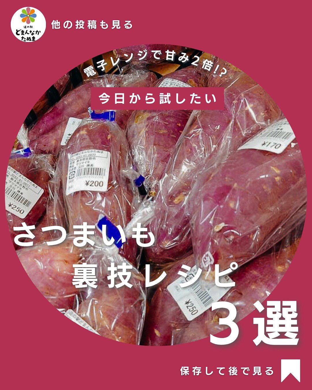おはようございます
連休最終日!!皆様ご機嫌いかがですか
さて本日はたったひと手間でねっとり甘くなる
さつまいもの裏ワザ3選をお届けします
パサパサさつまいも、
もう卒業しませんか?
&
電子レンジだけで作れる【簡単秋レシピ】をご紹介
電子レンジで甘みUP
濡れたキッチンペーパーで包み、200Wで25分+10分余熱放置!
デンプンが糖に変わって“自然な甘み”が倍増
皮むきラクラク法
レンジで1分温めて冷ますだけで、スルッと気持ちよく剥ける!
大学いも風&スイーツにも
フライパンでみりん+砂糖+しょうゆ→ごまで完成
つぶした芋にバニラアイスを混ぜれば“秋アイス”に変身
甘くてねっとり、美味しいさつまいもは【道の駅どまんなかたぬま】で販売中
ぜひ今日の裏ワザで秋のご褒美スイーツを楽しんでみてください!
保存してあとで試してみよう!
では暮らしがちょっと楽しくなる知恵を毎週配信中