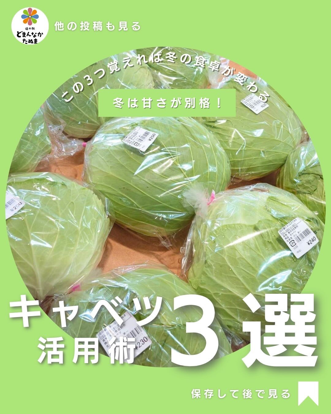 今日で11月もおわり。
1年ってあっという間ですね

本日は冬キャベツ🥬の活用術に
ついてお伝えします

冬のキャベツは、実は“今がいちばんおいしい季節”。
寒さで糖度が上がり、火を通すととろっと甘いごちそう野菜に変わります🥬

今日は、
✓ 甘さが引き立つ切り方
✓ 3分で作れる無限キャベツ
✓ 家族が喜ぶキャベツステーキ
など、忙しい夕方でもすぐできる“万能レシピ”をまとめました。

どまんなかたぬまには、
新鮮で張りのあるキャベツが豊富に入荷中です。

今日の晩ごはんの一品に、ぜひどうぞ。

後で作る方は忘れないように保存してくださいね。

⸻