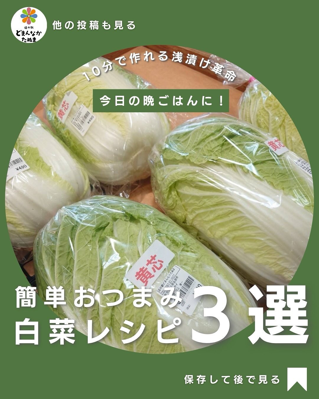 「あと1品どうしよう…」そんな日におすすめ🥢

切って揉むだけ！たった10分で“おうちお漬け名人”になれる

【白菜＆キャベツの簡単浅漬けレシピ3選】

 基本の作り方
① 野菜をざく切り
② 塩をふって軽く揉む
③ 10分おいたら水を切って完成！

 ピリ辛アレンジ
ごま油＋輪切り唐辛子で「おつまみ風」

 さっぱり和風🍋
かつおぶし＋すだち汁 or ポン酢で爽やかに

 洋風アレンジ🧀
オリーブオイル＋黒こしょう＋粉チーズでワインにも合う

どまんなかたぬまの新鮮キャベツ・白菜なら、
“シャキッと感”が違います今日の夕食にプラスしてみてくださいね。

役に立ったら保存！
で他の投稿もチェック