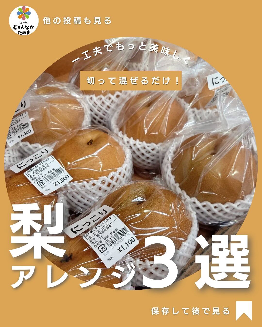 おはようございます
とても穏やかな朝ですね

そろそろ終盤の梨🍐
そのまま食べるだけじゃもったいない！

工夫してもっと美味しく
切って混ぜるだけの実用的なアレンジを
お届けします

 バターソテーでデザート風に
 ジンジャーソーダでスッキリ
 すりおろし梨の照り焼きソースで家族が笑顔に

保存して“梨の食べ納めアレンジ”を楽しもう


⸻