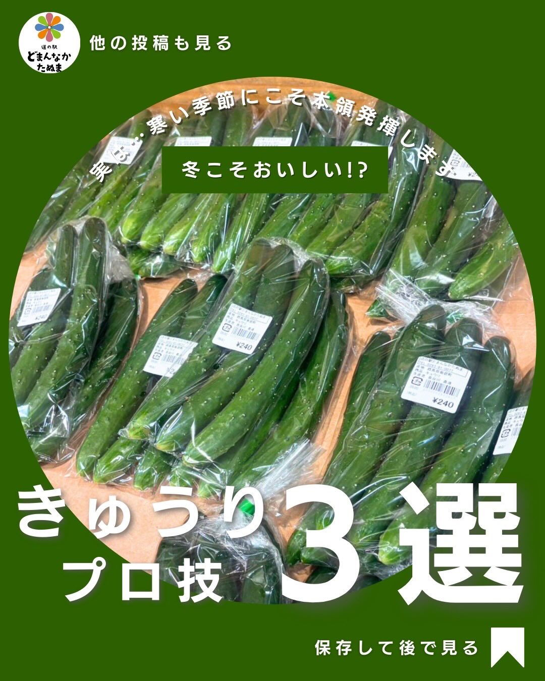 きゅうりは夏野菜のイメージですが、
実は“冬のきゅうり”はハリが強くて味がのりやすいんです🥒

今日は、
✓ パリッと長持ちさせる保存術
✓ 3分で作れる実用レシピ
✓ 家族が喜ぶ“無限きゅうり”
など、主婦の味方になる活用術をまとめました。

どまんなかたぬまのきゅうりは鮮度抜群で店頭に並んでいます。冬の食卓に、もう一品“パリうま副菜”をどうぞ。

後で試したい方は保存してくださいね

⸻

野菜のある暮らし
道の駅どまんなかたぬま 佐野市 冬の食卓