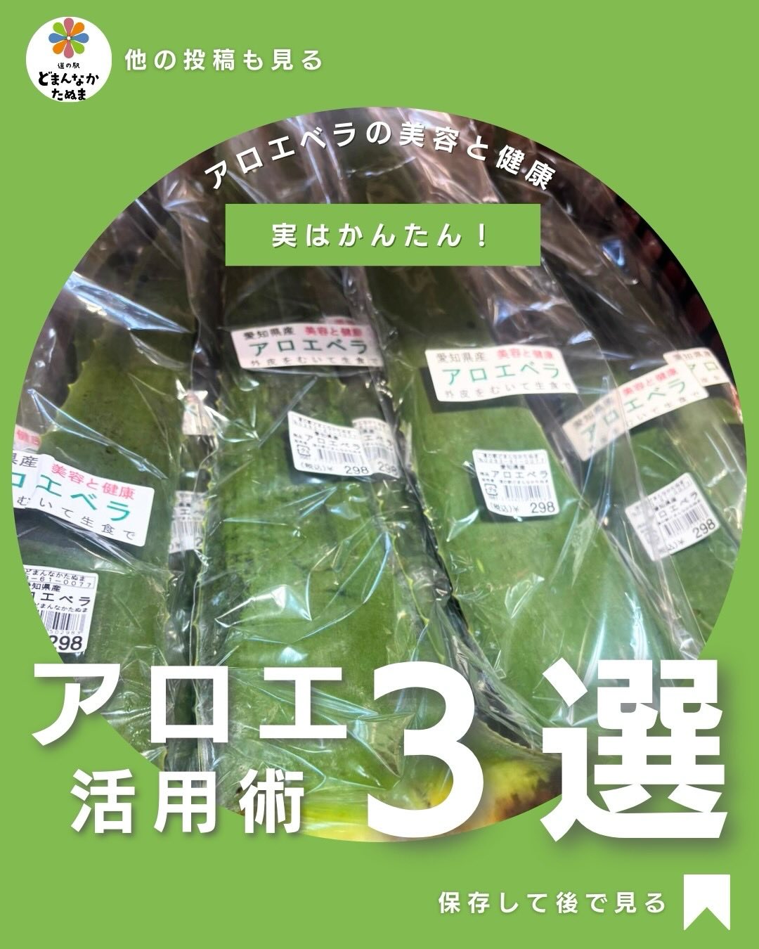 アロエベラは美容・健康にいいと知っていても、
「どう使うのが正解？」と迷いがちですよね

今日は、初めての方でも失敗しない
✓ 基本の下処理
✓ 家族で楽しめる“食べ方3選”
✓ 冬に嬉しい喉ケアの活用
をまとめました。

どまんなかたぬまでは、
肉厚でゼリー部分がしっかりしたアロエベラが入荷中

この冬、身体をいたわる“アロエ生活”始めてみませんか？

後で試したい方は保存を。

冬の食卓 主婦の知恵
道の駅どまんなかたぬま 佐野市 野菜のある暮らし
