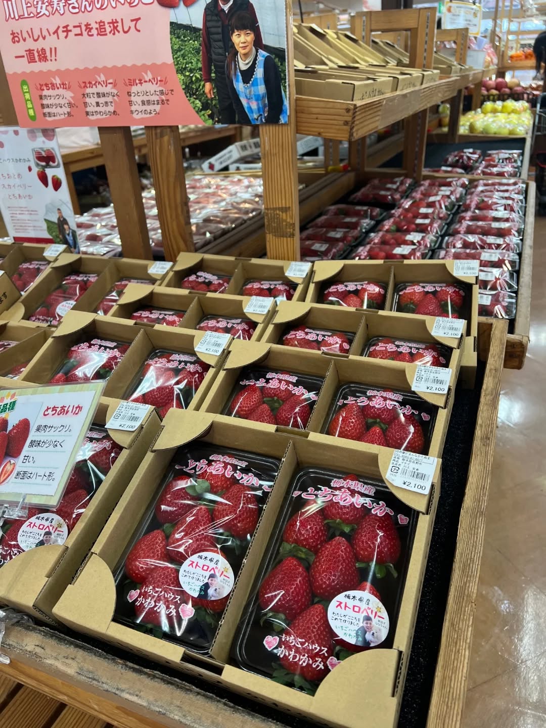 ◯
本日の朝採り館

新鮮な野菜や果物がたくさん出荷されています！
美味しいものを探してみて下さいね️

@domannakatanuma