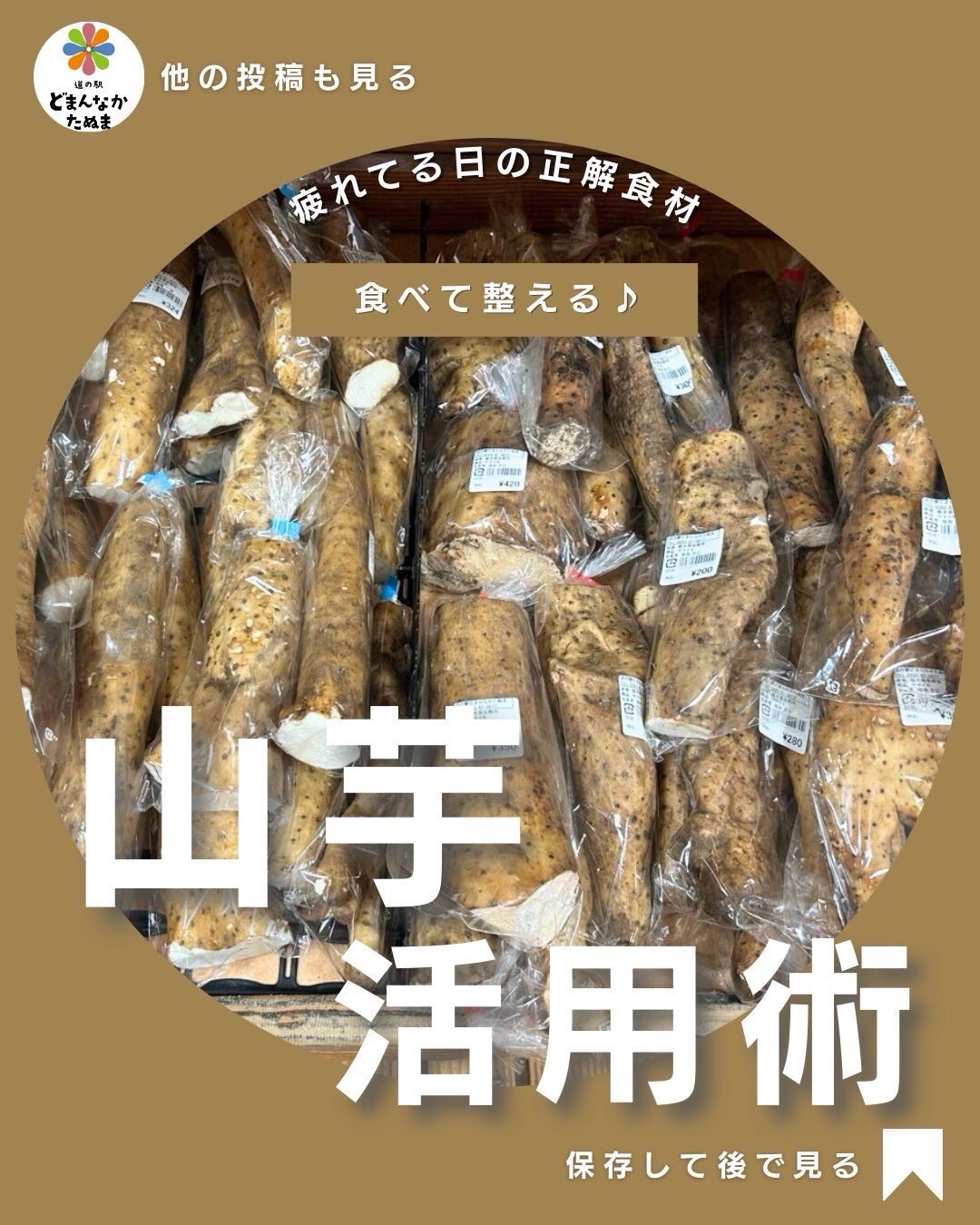 最近、なんとなく疲れが抜けない。夕方になると体がだるい。でも、重たいものは食べたくない…。そんな日に思い出してほしいのが山芋です。

山芋は、消化を助ける成分や
エネルギーになりやすい栄養を含む、
疲れた体にやさしい食材。
特に、忙しい日が続いて
胃腸が弱っているときに力を発揮します。

実は、疲れが長引く原因は
体力よりも胃腸の疲れということも。だから、がっつり栄養を入れるよりまずは整えるごはんが正解です。

おすすめは、加熱して食べること。輪切りにして焼き、
バターと醤油を少し。外はカリッ、中はホクホクで家族にも好評な一品になります。

余った山芋は、
味噌汁に入れてとろみをつけたり、翌朝はごはんにのせて簡単丼に。作ったあともラクなのが嬉しいところ。

疲れた日、考えたくない日は
「今日は山芋でいこう」
その判断を助けるために、保存しておいてください。

今日の山芋は
道の駅どまんなかたぬまで