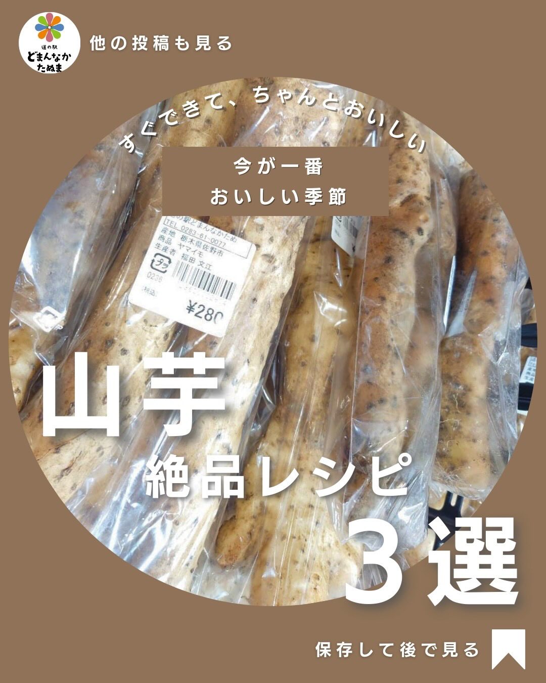 ＼ 冬こそ“山芋”がいちばん美味しい時期です ／
切るだけ・焼くだけでごはんが進む最強食材、
実はアレンジ無限なんです🥢

「とろろ以外の使い方が分からない…」
「使い切れずにしなびちゃう…」
そんな主婦さんの“あるある”をまとめて解決できるライフハックをご紹介します。

今日は、すぐ作れて家族が喜ぶ山芋の絶品レシピ3選＋保存のコツ をまとめました

 カリッふわ山芋ステーキ（5分で1品）
 揚げない！山芋サクサクフライ（子ども人気No.1）
 とろとろ山芋味噌汁（冷え・胃腸ケアにも◎）
 変色しない保存テク & 長持ちさせる方法も！

冬の食卓に“あと1品ほしい”という日に、絶対助かるレシピばかりです
山芋は今が旬でお買い得。

味も粘りも最高なので、ぜひ当館の新鮮山芋でどうぞ！