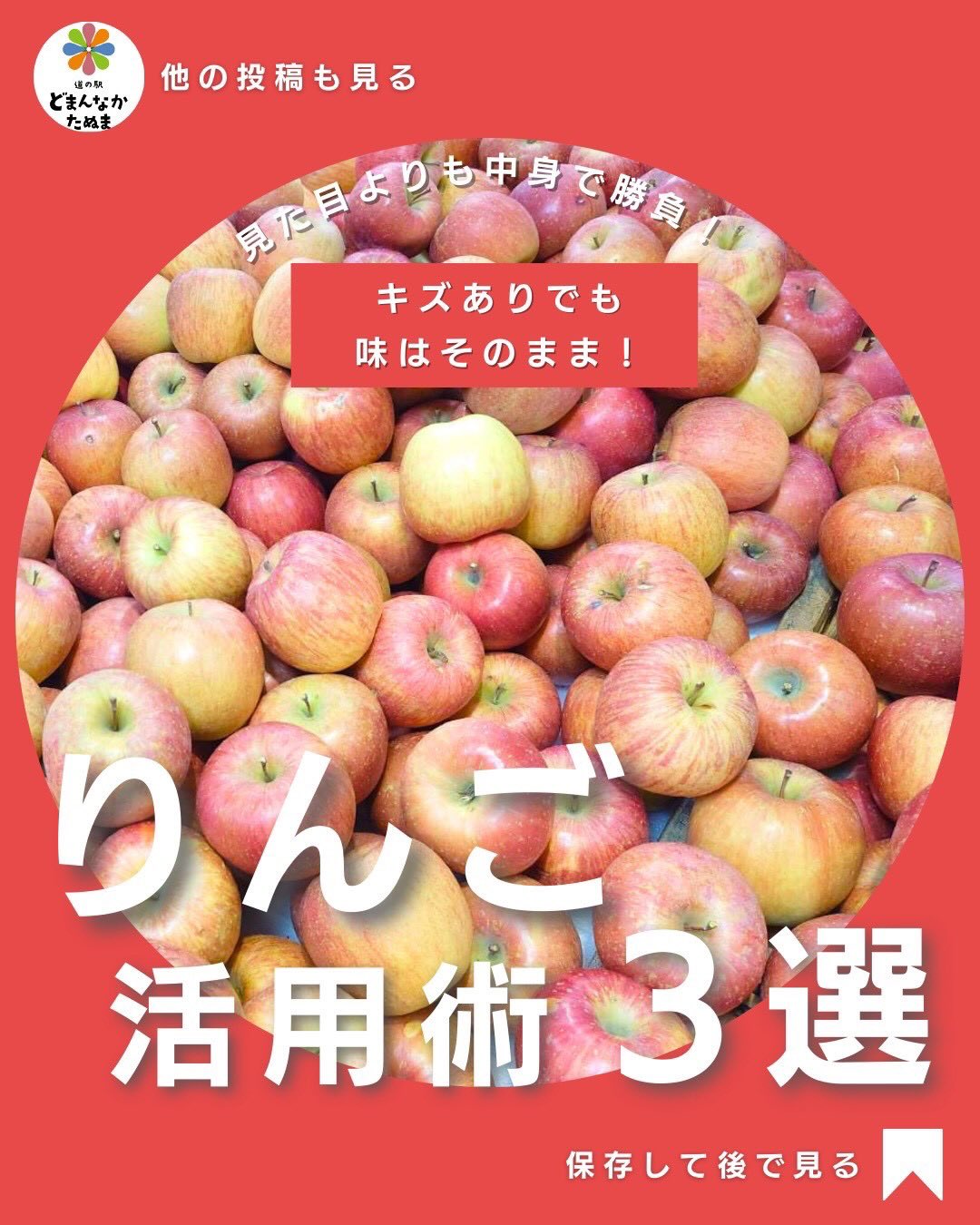 おはようございます
爽やかな朝ですね
今日も1日たのしくいきましょう♪
りんごって、つい“見た目”で選びがちですが…
実は【傷あり=訳あり】でも、
中身は甘さも果汁もそのまま。
味には問題ありません
枝にこすれたり、表面が日焼けしただけの“外見のキズ”がほとんど。
むしろ熟度が進んでいるものもあり、加熱すると旨みが倍増します。
今日は、そんな“訳ありりんご”をお得においしく使える
5分コンポート
バター焼き(子ども大好き)
冬野菜×りんごのホットサラダ
の3つ+保存テクをまとめました。
どまんなかたぬまでは、
味はしっかり美味しいのに“見た目理由でお得になる”傷ありりんごが入荷中!
家庭用ならこれで十分、むしろ最高だと思います
あとで絶対使うので保存してくださいね