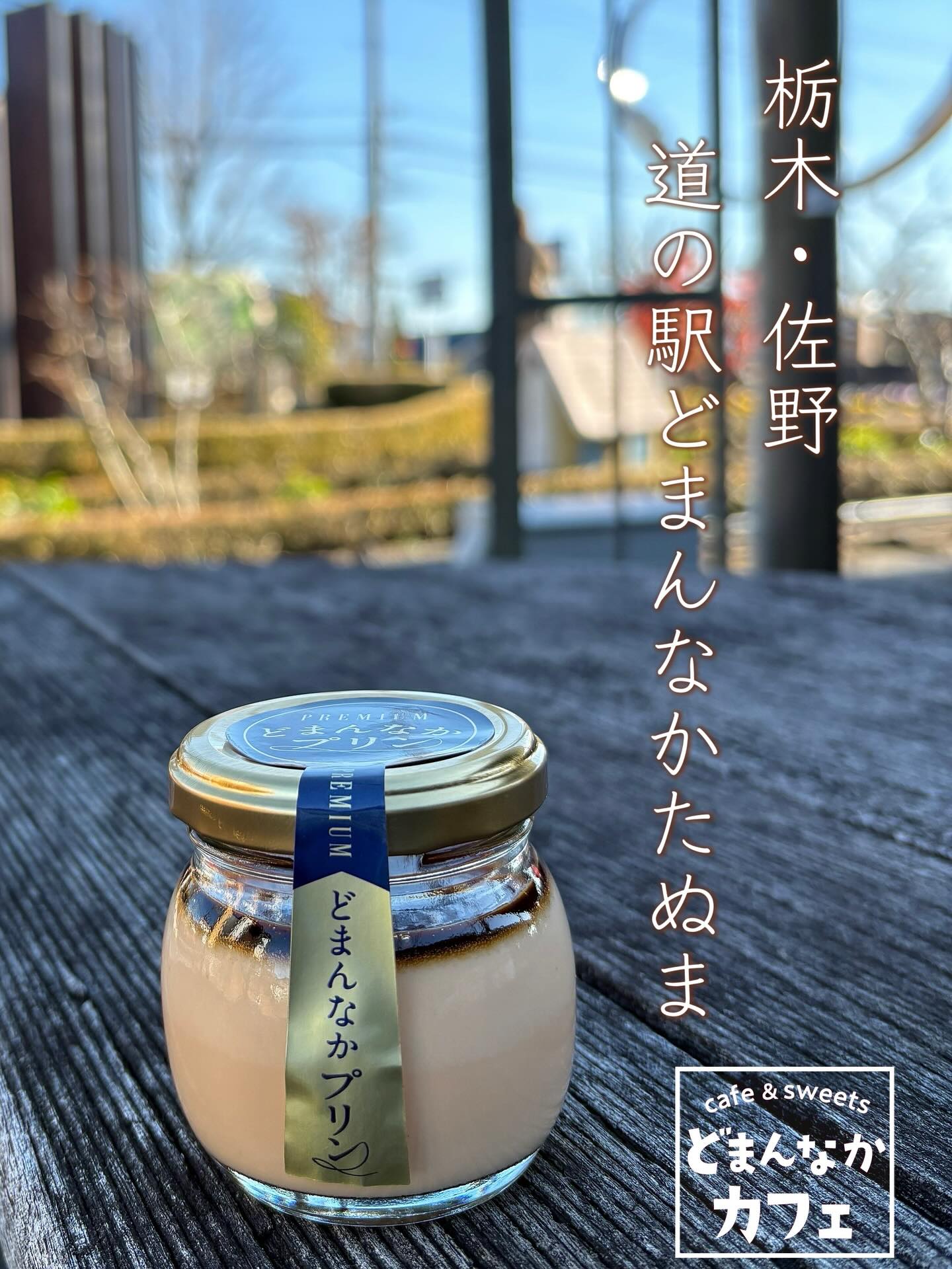 こんにちは 
です︎

ころんっとした可愛い見た目の
【プレミアムどまんなかプリン】は
道の駅どまんなかたぬまにて
大好評販売中です

素材にこだわり1つ1つ
丁寧にお作りしております︎
濃厚なめらかなプリンをご賞味ください

販売場所
朝採り館・うまい食パン
・
・
・
どまんなかカフェは
2026年1月3日（土）午前9時30分より
営業スタートいたします︎ 
皆様のご来店を心よりお待ちしております