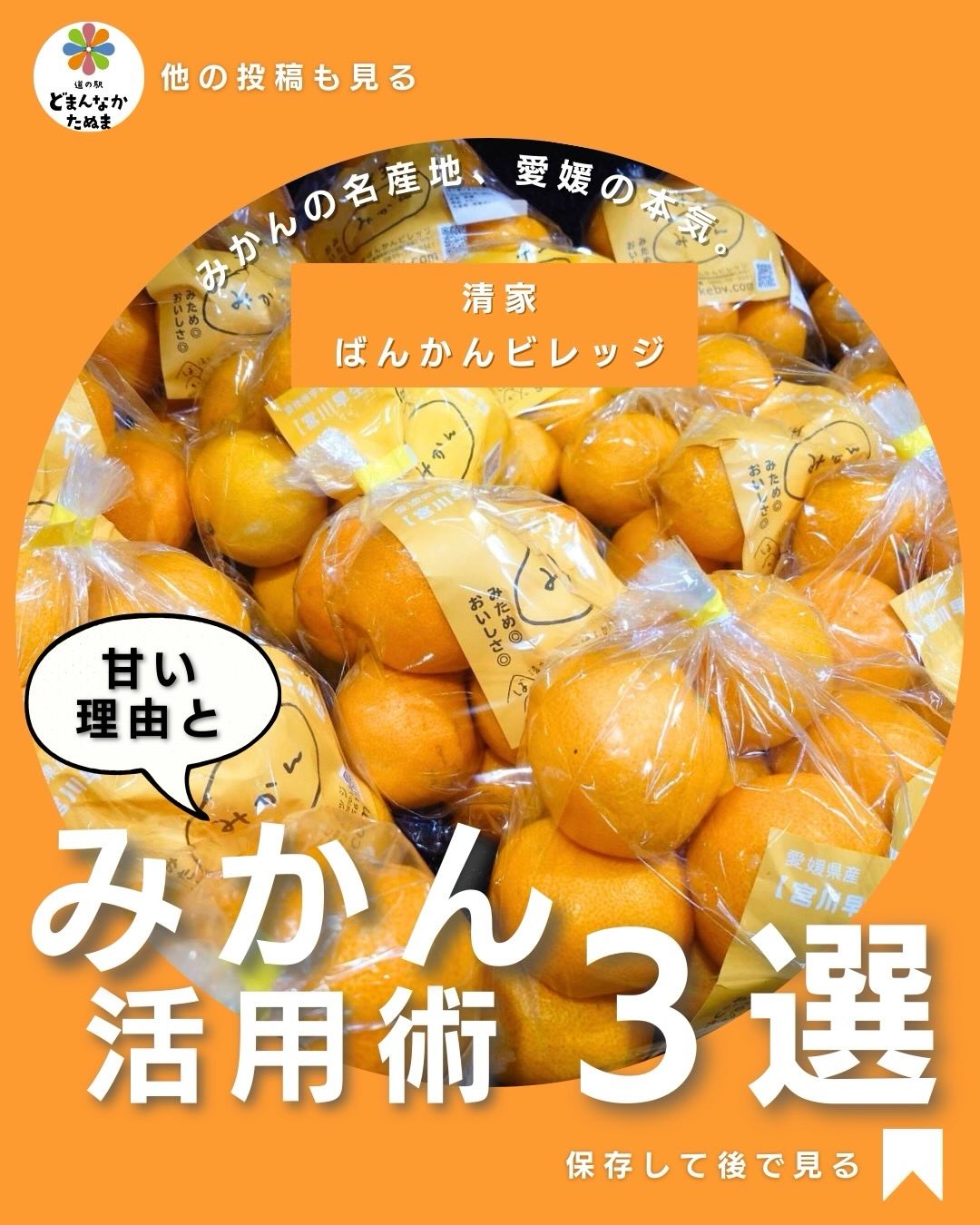 みかんの名産地・愛媛県から
老舗果樹園「清家ばんかんビレッジ」のみかんが届きました
海風と太陽をたっぷり浴びた段々畑で育つみかんは、
甘さ・香り・ジューシーさが段違い。
そのまま食べても、アレンジしても本当においしいんです。
今日は、
甘さが増すプロの追熟方法
子どもが喜ぶ“冷凍シャーベット”
冬にぴったり“ホット白湯割り”
ご褒美感ある“みかんヨーグルト”
の活用術をまとめました。
どまんなかたぬまでは、
清家ばんかんビレッジのみかんが新鮮なまま入荷しています。家族の冬の定番フルーツに、ぜひどうぞ。
あとで見返すために保存しておいてくださいね🤍