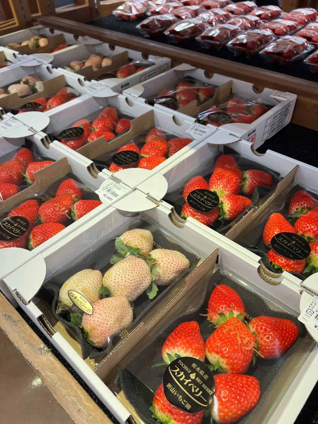 ◯
朝採り館は今日も賑わっています️

地元生産者さんのトマトの出荷も
増えてきました！

明日から仕事の方も多いかと思いますが、
今日も美味しいものを食べて
ゆっくり過ごして下さいね♬