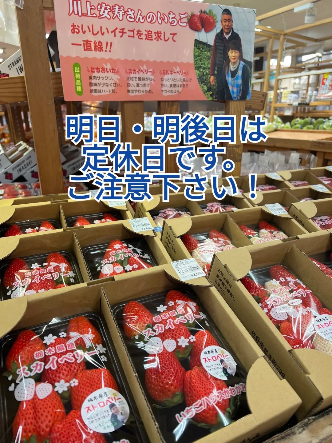 ◯
お知らせです。

明日・明後日【1/20(火)　1/21(水)】は
定休日となります。
ご注意下さい

1/21水曜日のヒルナンデスに
どまんなかたぬまが登場します！
ぜひご覧ください
