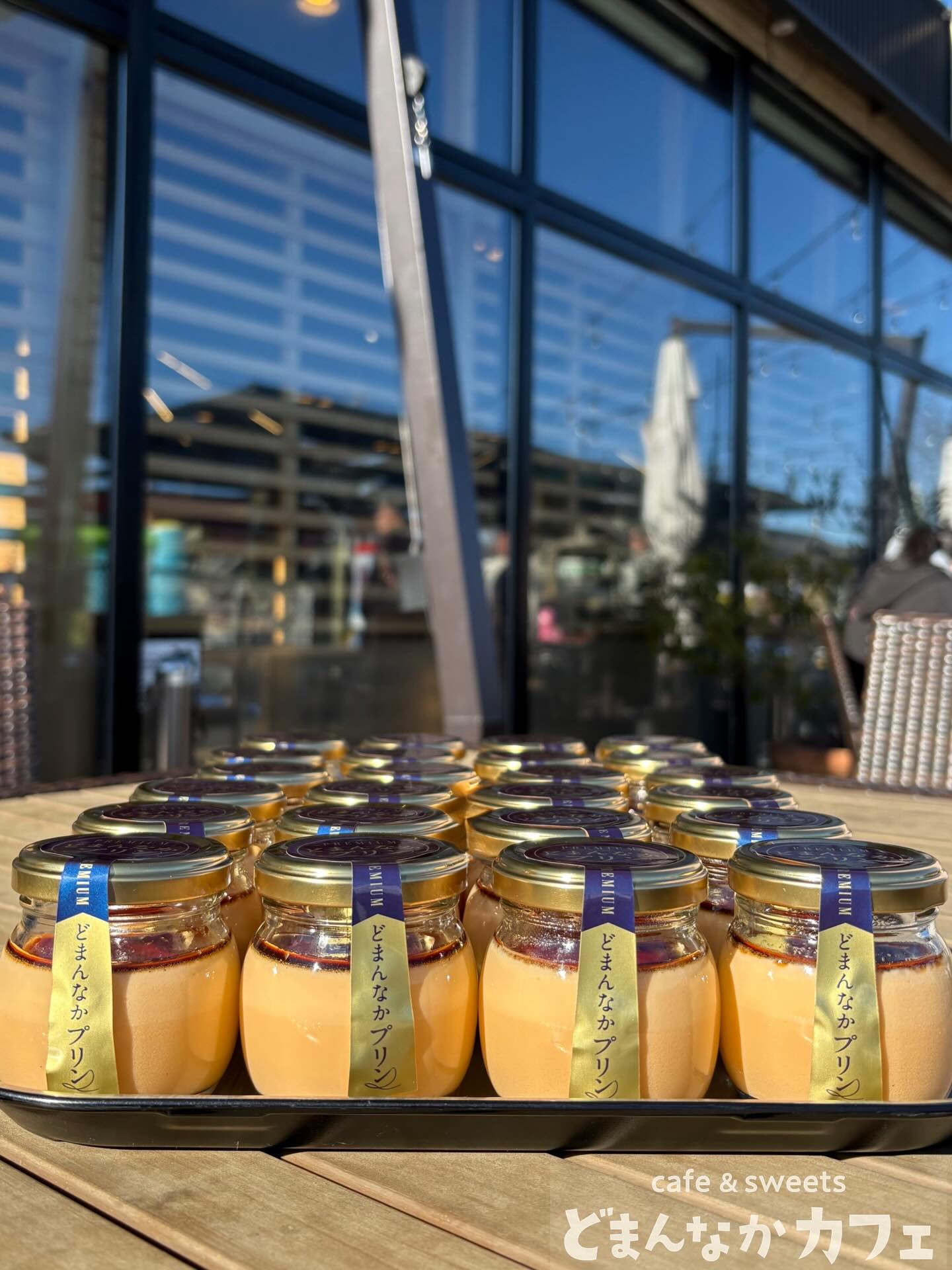 こんにちは!
です️ 
いつもご利用いただきありがとうございます︎

【プレミアムどまんなかプリン】
いかがでしょうか？

こだわりの安心・安全素材の味をダイレクトに
感じられます

ご自分へのご褒美にはもちろん
贈り物にもおすすめです
※朝採り館レジにて贈答用の箱を
販売しております🏻‍♀️

是非🫶　