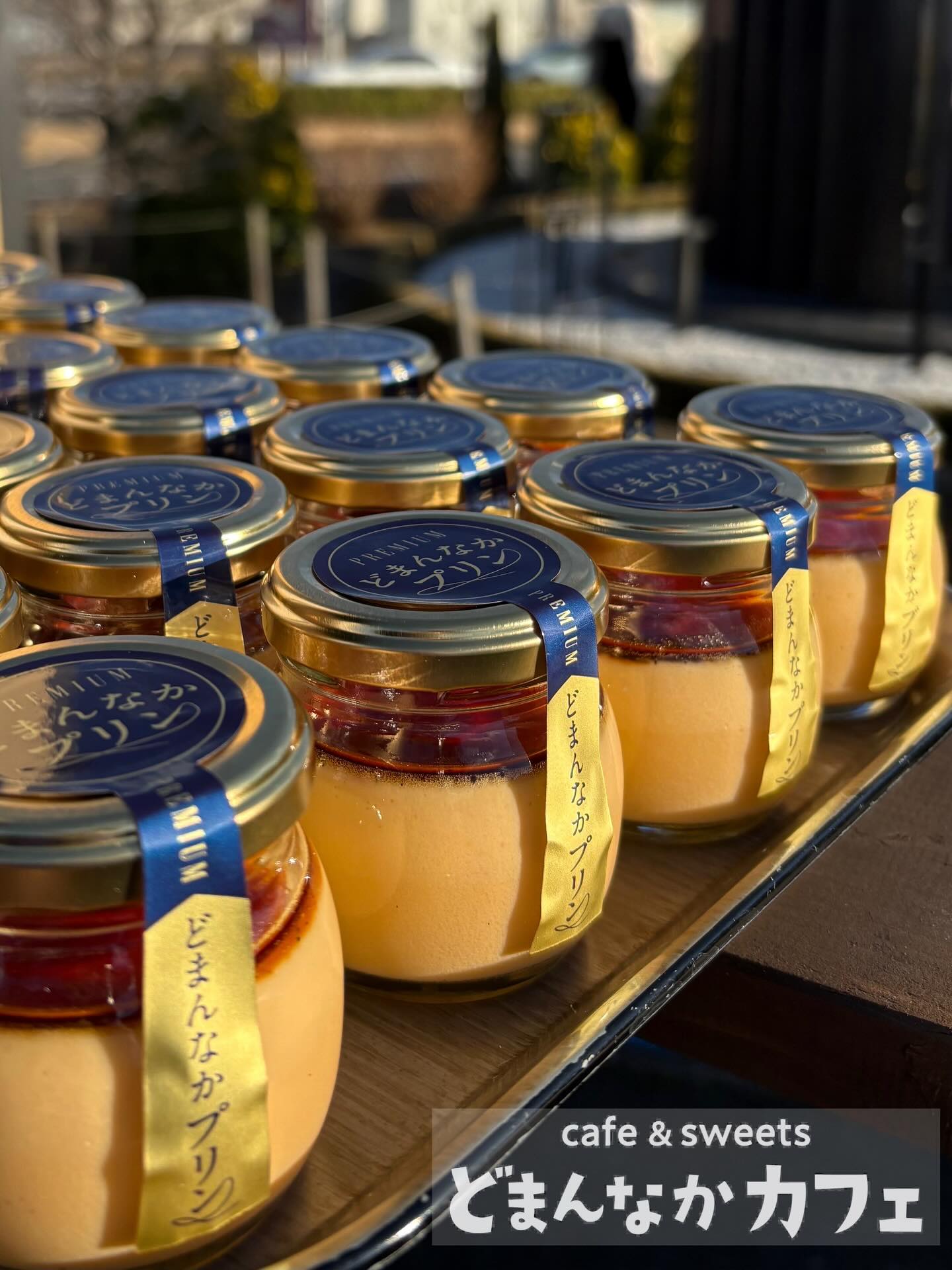 こんにちは︎
どまんなかカフェです️ 

道の駅どまんなかたぬまオリジナル商品の
【プレミアムどまんなかプリン】大人気です！

オーガニックのバニラビーンズをふんだんに
使用しており黒い粒々が確認できます
香りだけではなく視覚的にもバニラビーンズの
存在感を楽しめます

ジャージー牛乳と一緒に丁寧に煮出すので
キッチンは甘〜い香りに包まれています♪

丁寧にお作りしたプリンを
是非ご賞味くださいませ🫶