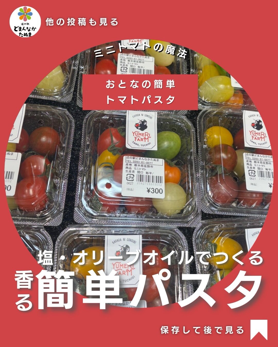 おはようございます

最近出荷の始まったミニトマトを
使った大人のパスタをご案内します

ユメリファームさんのミニトマトは、
「そのまま食べるもの」だと思われがちですが、
実は火を入れることで真価を発揮する食材です。

皮が薄く、果肉が締まったミニトマトは、ゆっくり焼くことで水分が抜け、甘みとうまみがぎゅっと凝縮されます。
砂糖やトマト缶を使わなくても、トマトそのものがソースになるのが魅力。

今回のポイントは、
 ニンニクは焦がさず香りだけ出す
 ミニトマトは潰さず、焼いてほどけるのを待つ
 味付けは塩だけで整える

足すのではなく、引き出す。
それだけで、驚くほど奥行きのある味になります。

シンプルな材料だからこそ、
ミニトマトの質がそのまま美味しさに直結。

素材が良いと
料理は難しくありません

忙しい日の夜にも、
少し丁寧に食べたい日にも。

ユメリファームさんのミニトマトを
朝採れ館で見かけたら迷わず購入して
試す価値アリです^_^