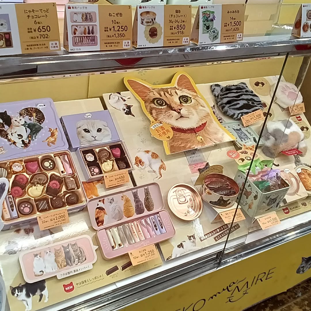 おはようございます

どまんなかたぬまの大ホール会場で、ただいま、「チョコレートフェア」の開催中です

その中の一部、猫好きにはたまらないシリーズをご紹介️

にゃんとも可愛い
チョコレートも入っていますが、食べ終わった後も使用出来る、ポーチやペンケースなどもあります️

さぁ、猫好きの皆様、集まれ〜️

ご来店、お待ちしております