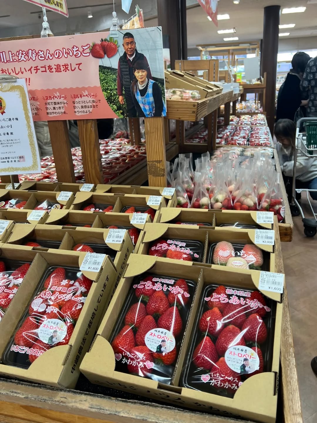 ◯
三連休初日
暖かくてお出掛け日和ですね！

朝採り館に、旬のいちごや柑橘類
お野菜もたくさん揃っています

人気の【媛小春】も再入荷しました

ぜひ、どまんなかたぬまへ
お立ち寄りください