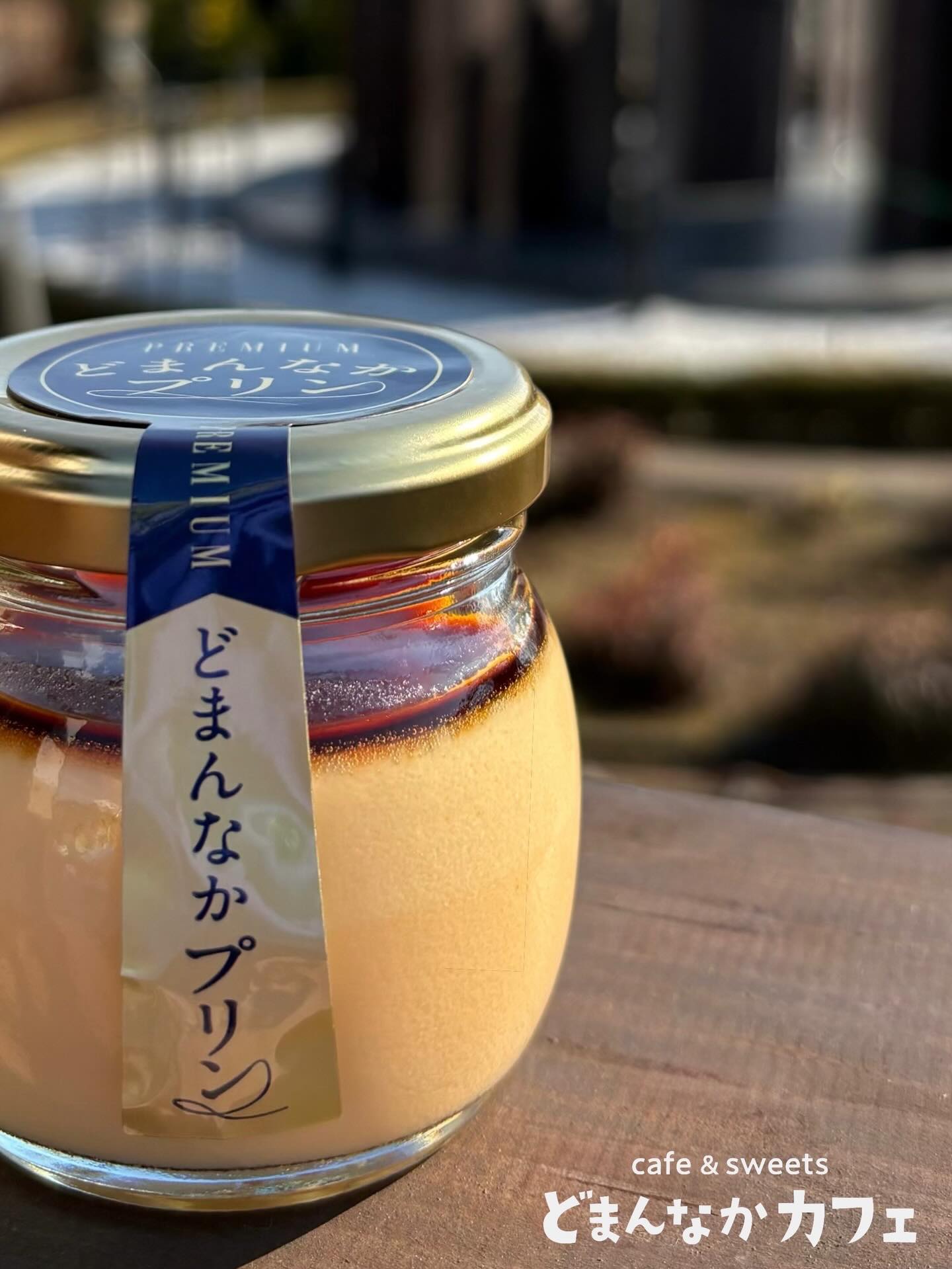 こんにちは︎ 
です️ 
いつもご利用いただきありがとうございます︎ 

寒い季節にホッとする🩷
上品な甘さのプリンいかがでしょうか？

道の駅どまんなかたぬま名物
【プレミアムどまんなかプリン】
安心・安全な素材を使用しております！

ご自分へのご褒美・プレゼントにも
おすすめです

販売場所
◎朝採り館
◎うまい食パン
◎どまんなかカフェ