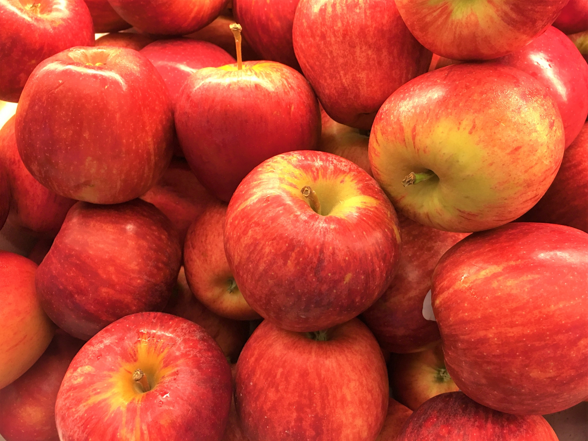 イベント告知！

 明日 2/23（月）限定にて青森りんご詰め放題を実施します！
9:00〜／なくなり次第終了です！
朝採り館 西側通路（木村屋だんご前）

数量限定につきお早めに！