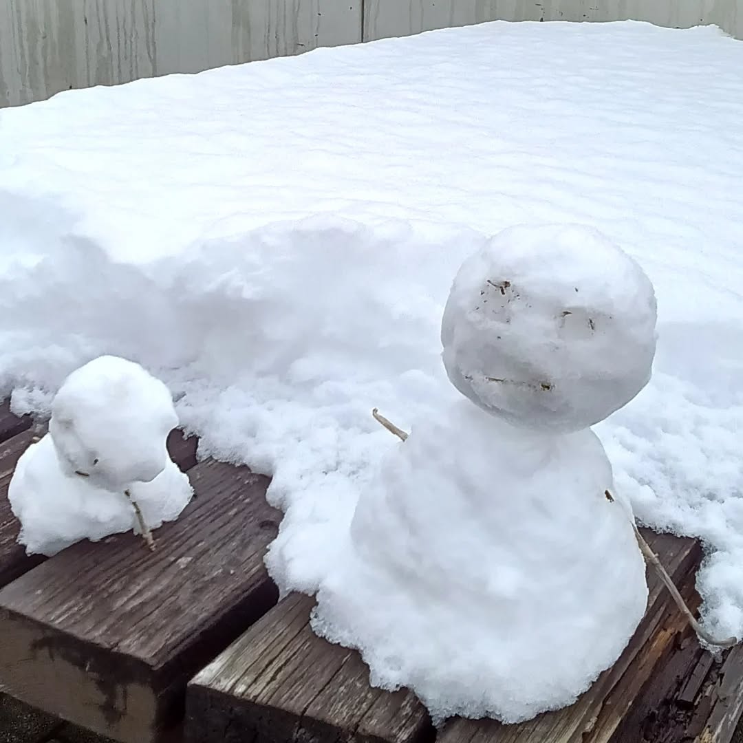 本日はお足元の悪い中、
たくさんのお客様にご来店いただき
誠にありがとうございます🥺

雪がまだ残っている場所も多くございますので、
お足元などお気をつけくださいませ
午後もたくさんのお客様にお越しいただけるよう、
元気に営業して参ります！
外テーブルにひょっこりとあらわれた
雪だるま☃さんと一緒に、
みな様のご来店をお待ちしております♪♬

#道の駅どまんなかたぬま　 #お土産　