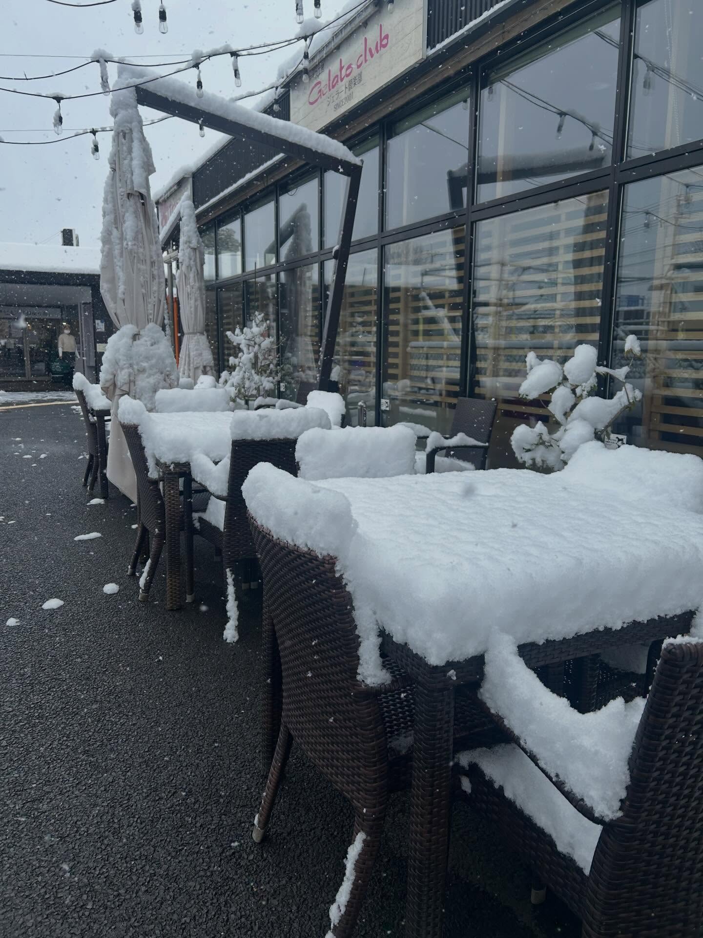 おはようございます
どまんなかたぬま　はなみずきです。
昨晩から雪が降りましたが、
皆様の地域は、如何でしょうか？
本日、どまんなかたぬま
【はなみずき】元気に営業しております。
足元にお気をつけてお越し下さいませ。