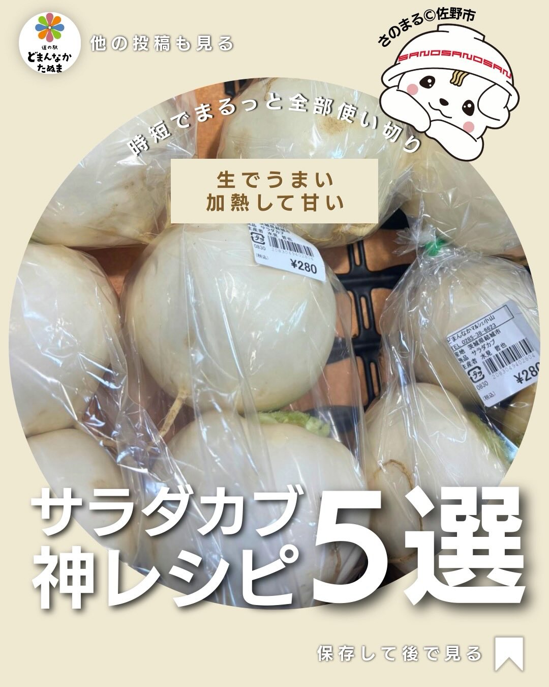 おはようございます
本日はサラダカブのお話です

毎日のごはん作り、
「あと一品どうしよう…」ってなることありませんか？🥺

そんな時に本当に助かるのがこのサラダカブ
正直、かなり優秀です。

まず嬉しいのが、皮むき不要。
切ってそのまま食べられるので、とにかくラク。

しかも、生で食べるとシャキッと甘くて、火を通すとトロッとした優しい甘さに変わるんです。

つまり、
「サラダにも、スープにも、炒め物にも使える」＝献立に困らない万能食材

さらに見逃せないのが葉っぱ

これ、
捨ててたらもったいないです。

刻んで炒めるだけで、
ごはんが進むふりかけに早変わり

コスパも良くて、無駄も出ない。主婦目線でかなり優秀な食材です。

忙しい日でもサッと一品できるし、ちゃんと「ちゃんとごはん作った感」も出せる。

こういう食材が冷蔵庫にあるだけで、気持ちがちょっとラクになりますよね️

ぜひ一度、いろんな食べ方で楽しんでみてください。

きっとまた買おうってなります◎