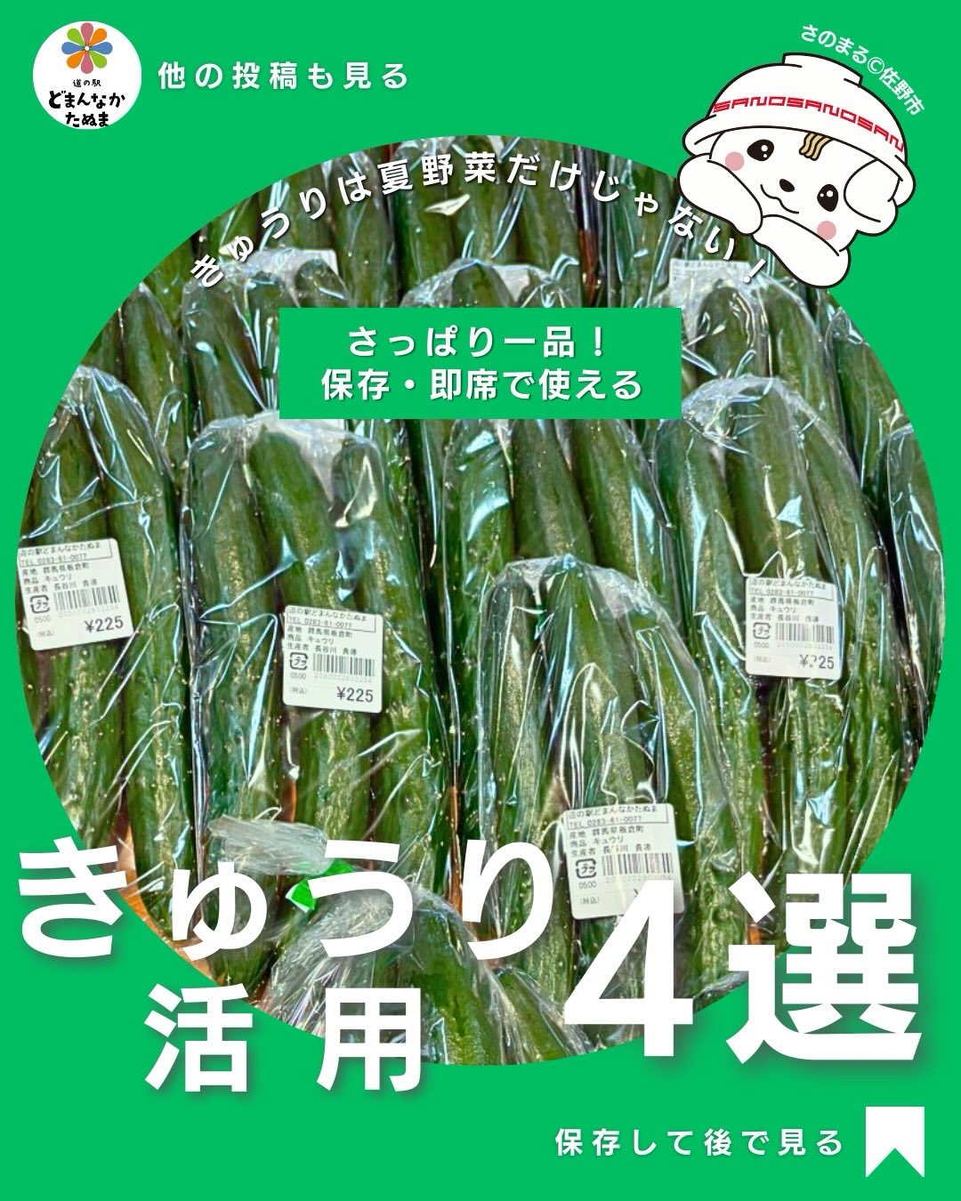 今日から当店のインスタグラムに
なななんとさのまるが参戦しました
これからもお料理や豆知識、クイズなど
たのしく学べるコンテンツをお届けしますので
是非良かったら「いいね」をくださいませ
それでは早速…
きゅうりの活用についてからスタートします
冷蔵庫にきゅうりがあるだけで、
「あと一品どうしよう…」が一気にラクになります。
叩いて、和えて、漬けて、
火を使わずにすぐ完成するのが、きゅうりの一番の魅力。
忙しい平日の副菜
家族が集まる日のさっぱり箸休め
お酒のおとも
作り置き・下ごしらえ
切り方と味付けを変えるだけで、
同じ1本でも何通りにも楽しめます。
今回は
すぐ作れるレシピと
シャキッと長持ちさせる保存方法をまとめました🥒
「きゅうり=脇役」なんて言わせない。
実は毎日の食卓を一番支えてくれる野菜かもしれません。
気になったレシピは、
ぜひ【保存】して、今日のごはんに