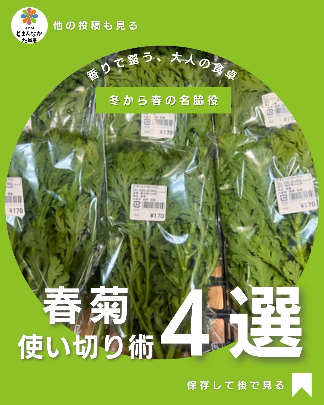 穏やかな日曜の朝️
みなさんはどうお過ごしですか…
今日は冬の万能野菜
「春菊」の使い切り術をお届けします
早速ですが「春菊=鍋だけ」
だと思っていませんか?
実は春菊は、香り・栄養・アレンジ力が
そろった大人の万能野菜
疲れやすい
食生活が乱れがち
野菜不足が気になる
そんな時こそ取り入れてほしい食材です
今回は、
・ごまナムル
・ベーコン炒め
・卵スープ
・生サラダ
など、1袋で使い切れる実践レシピと、
長持ち保存法
冷凍テク
までまとめました
どまんなかたぬまの春菊は、
香りが強く、えぐみが少ないのが特徴
「少し良いものを、丁寧に楽しむ」
そんな食卓づくりにぴったりです
気になったら【保存】して、
次のお買い物の参考にしてくださいね