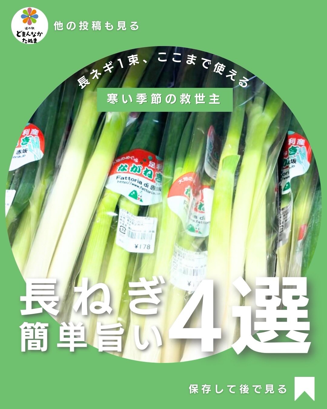 節分の夜。
みなさんどうお過ごしですか
今回は長ネギの簡単旨い4選になります
寒くなると…
なぜか手に取りたくなるのが「長ネギ」
ですよね
実はこの1束で、
主菜・副菜・スープ・保存まで全部まかなえます
体を温めたい
風邪をひきたくない
食事を整えたい
そんな時こそ、長ネギが頼れる存在
今回は、
忙しい日でもすぐ使えるレシピと長持ち保存のコツをまとめました
冷蔵庫に1束あるだけで、
毎日のごはんがちょっと楽になります。
ぜひ保存して今週の食卓に
活かしてくださいね