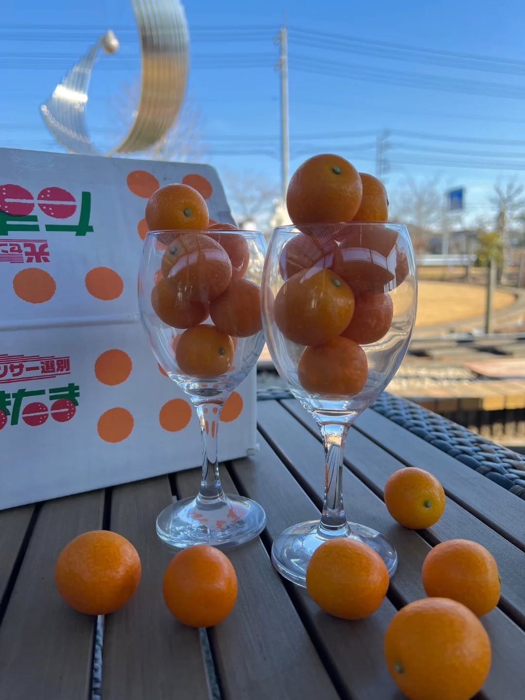 ◯
宮崎県産・完熟金柑
【たまたま】

皮ごとまるかじりで美味しい️

糖度16度以上、直径2.8センチ以上のものを
【たまたま】として出荷しているそうです。

金柑のイメージが変わる美味しさ！

ぜひ、お試し下さい