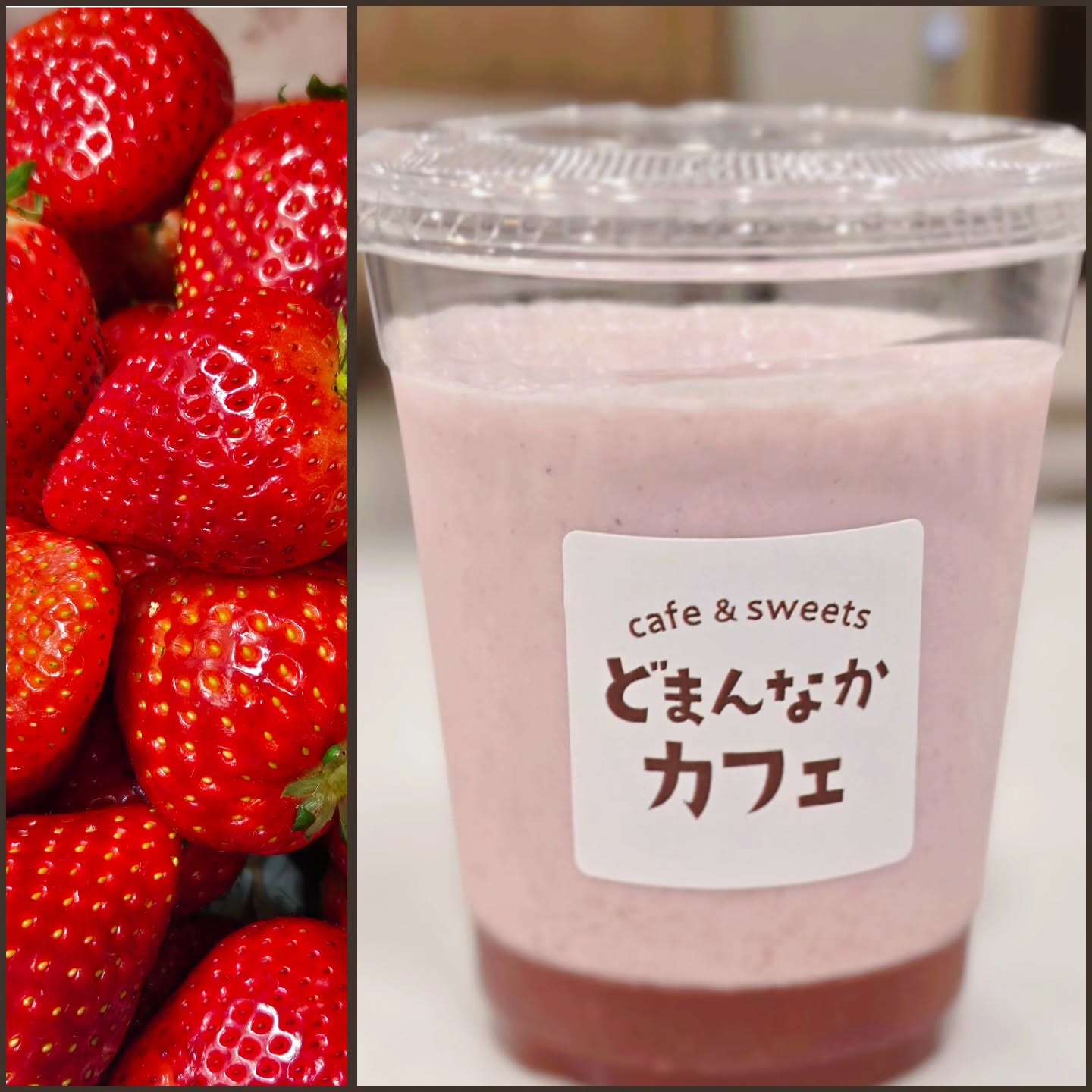 こんにちは！
です

苺の季節ですね！
栃木県産の苺でお作りしたスムージーです
しつこくない程よい甘さです。

ぜひご利用ください