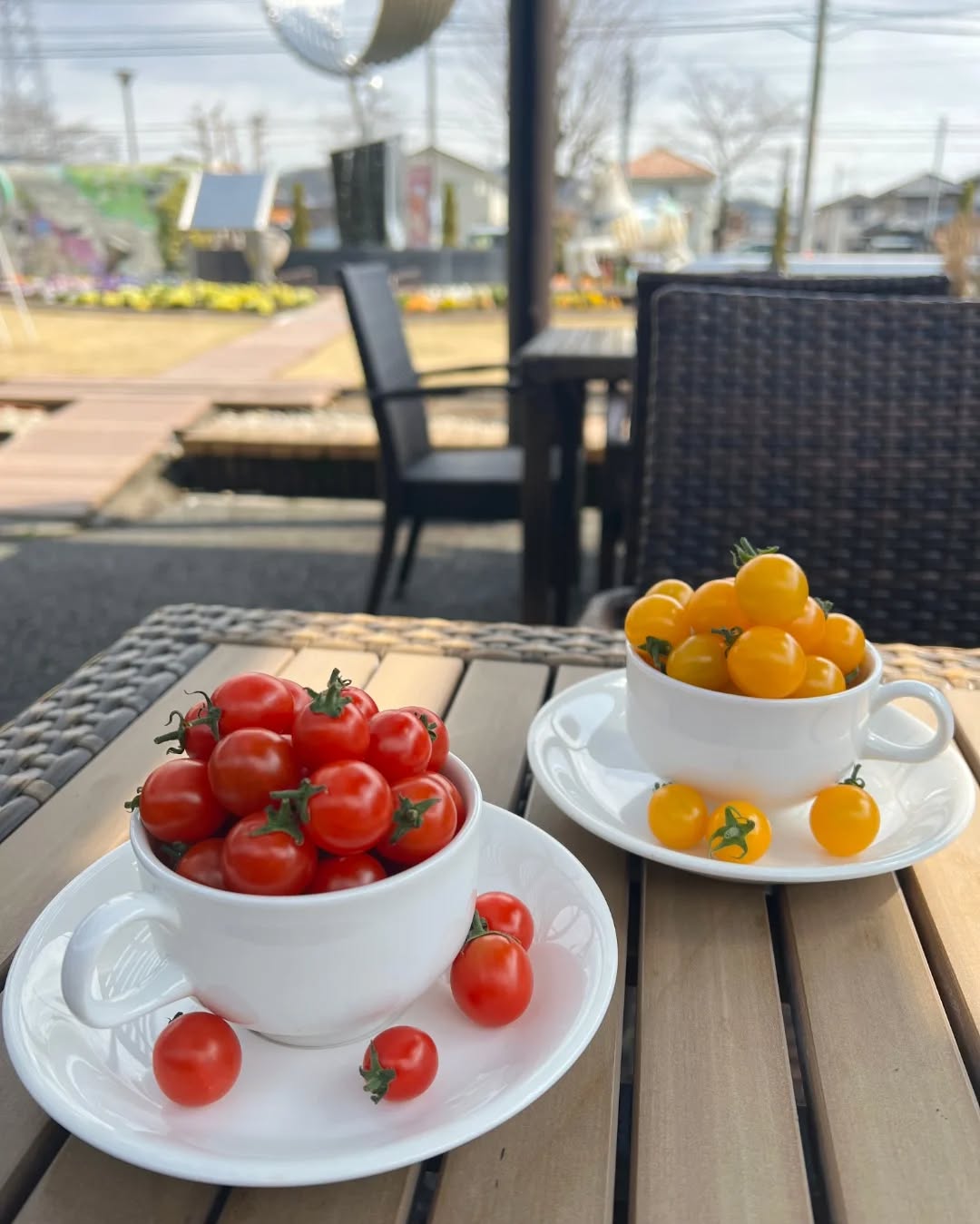 ◯
可愛いミニトマト♡
佐野市の生産者さん、寺内さんのミニトマトです。

そのまま食べても
マリネやはちみつ漬け、スープに入れても
美味しいですよ

食卓が彩り豊かになります️