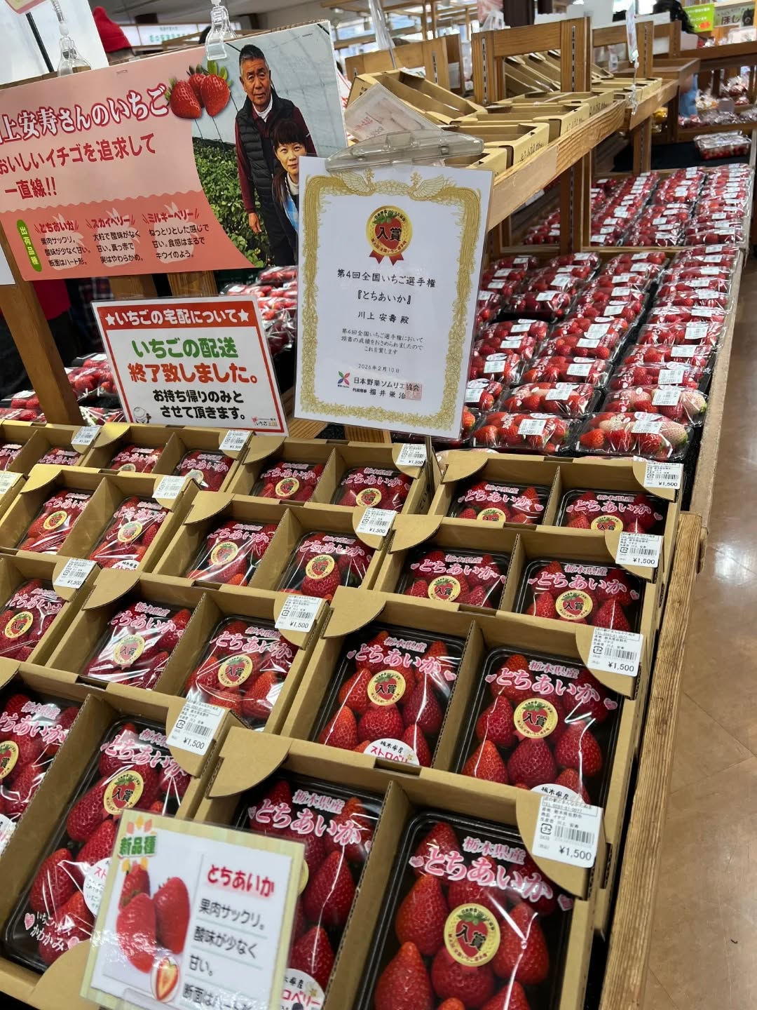 ◯
新鮮野菜や果物がたくさん！

そろそろ旬が終わってしまう【いちご】ですが、
そのまま食べたり、ジャムにしたり
まだまだ楽しめます

お野菜は、春らしいものが増えてきて
食卓が華やかになりそうです

ぜひ、朝採り館へお越しください