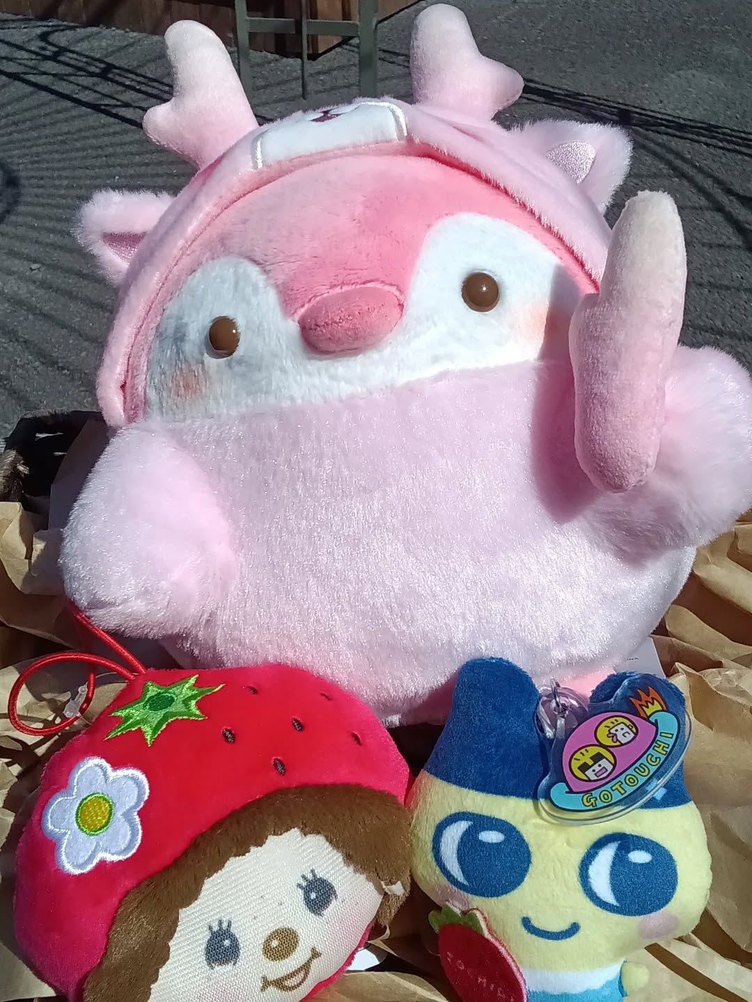 こんにちは
お土産売場『彩り館』から、 のご紹介です️

🫚岩下の新生姜×コウペンちゃんコラボぬいぐるみ
モンチッチフェイスぬいぐるみ スカイベリー
たまごっちご当地ぬいぐるみ スカイベリー

この子達が皆さんのご来店をお待ちしております🫶
ぜひ一緒に連れて帰ってあげてください