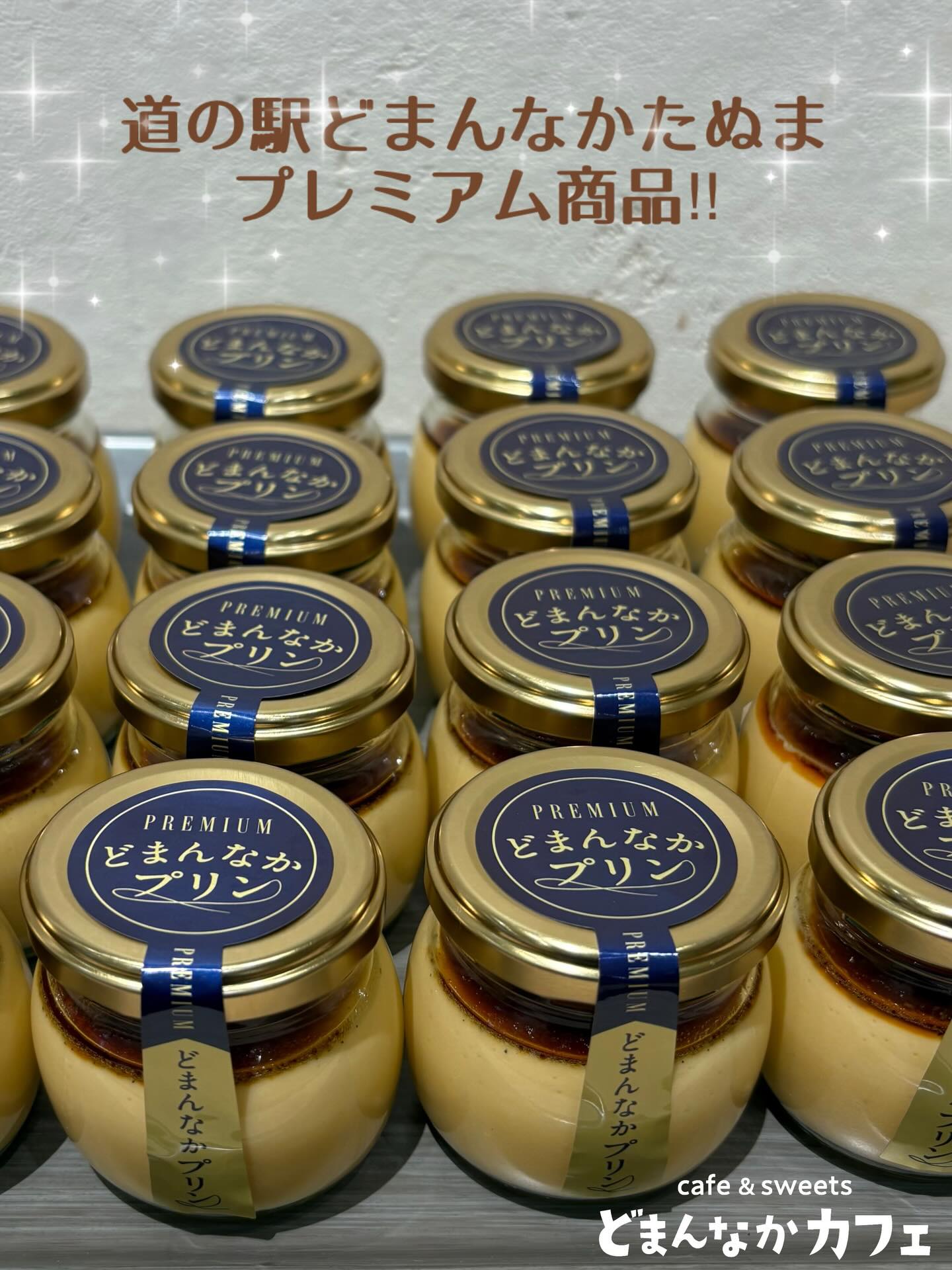 こんにちは︎ 
です️ 
いつもご利用いただきありがとうございます︎ 

道の駅どまんなかたぬまでは
春のパン祭り開催中︎

どまんなかカフェ特製
【プレミアムどまんなかプリン】も会場に
並んでいます！
是非ご賞味くださいませ

プリン販売場所
・朝採り館
・うまい食パン
・どまんなかカフェ
・パン祭り会場（どまんなかホール）

皆様のご来店を心よりお待ちしております🫶