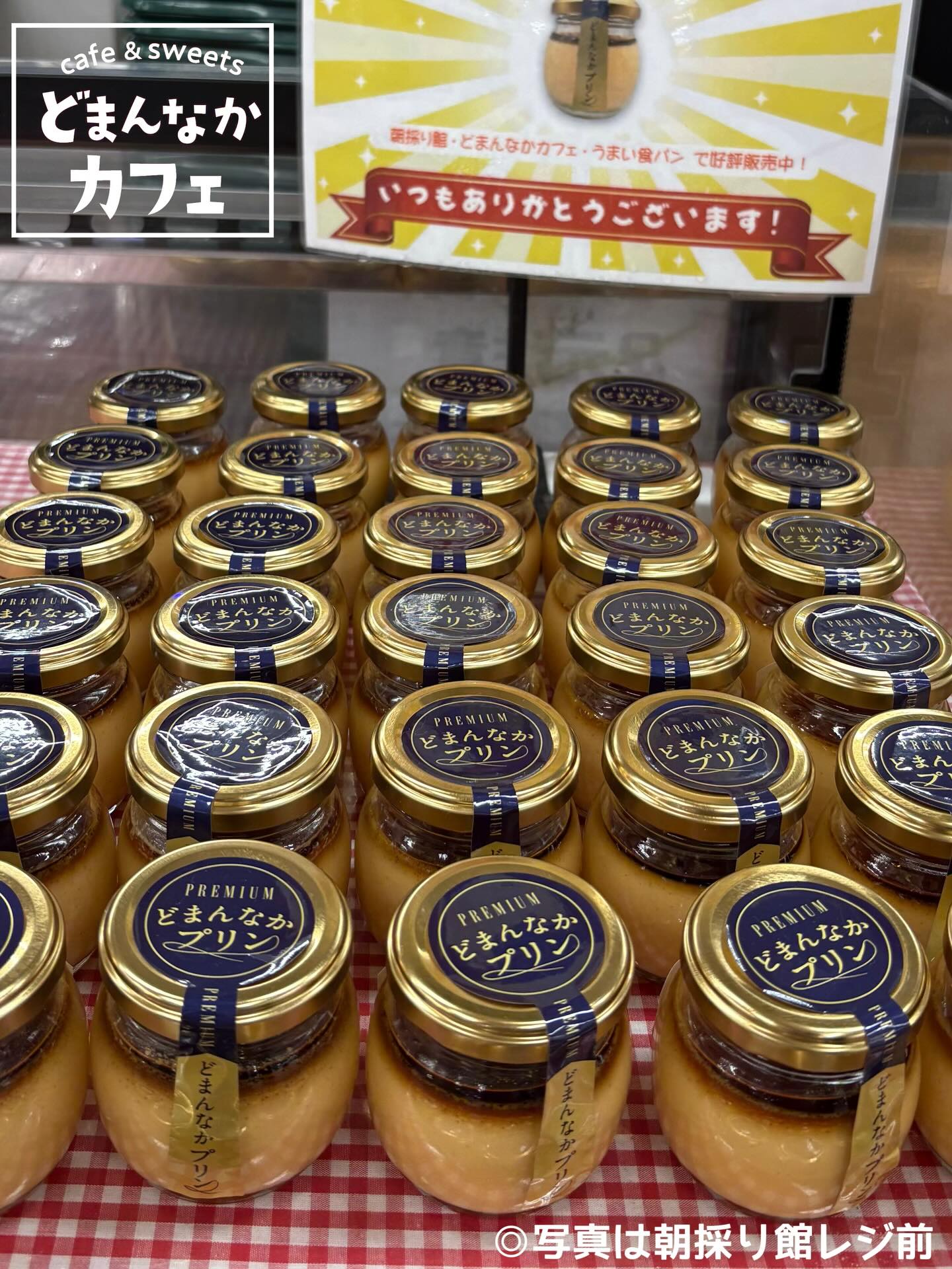 こんにちは︎ 
です️ 
いつもご利用いただきありがとうございます︎ 

手土産にも喜ばれる
【プレミアムどまんなかプリン】
いかがでしょうか♪ 

朝採り館・うまい食パン・どまんなかカフェで
好評販売しております🏻‍♀️ 

是非🫶