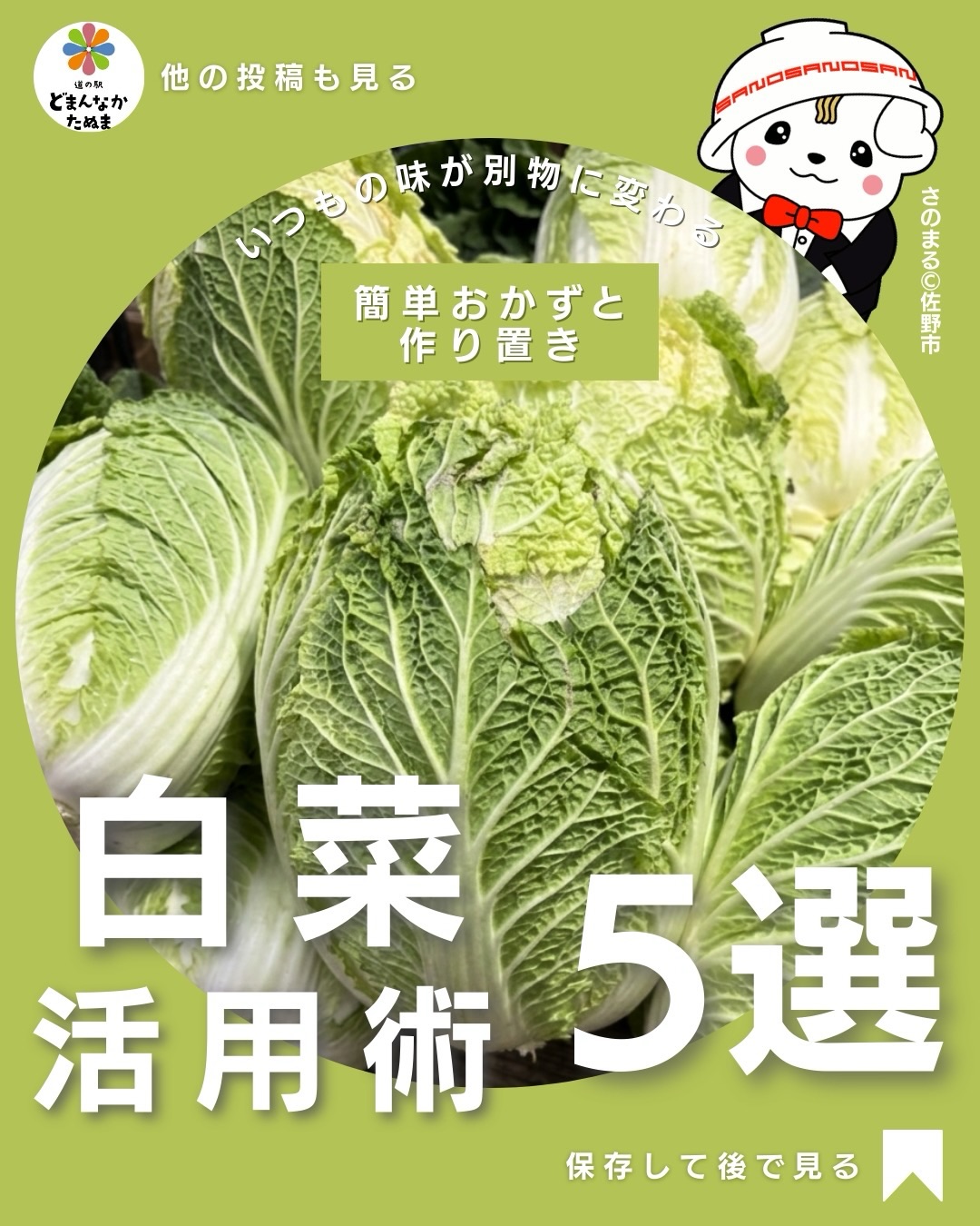 おはようございます

本日は白菜のお話しです

冬になると食料品売場で
大きな白菜を見ることが増えますよね🥬

でも実際に買うと

「量が多くて使いきれない」
「鍋くらいしか思いつかない」

そんな経験ありませんか？

実は白菜って
とても便利な野菜なんです。

火が通るのが早い
甘みが出る
どんな料理にも合う

炒めても
煮ても
サラダでも

いろんな料理に使える万能食材。

今回紹介したレシピは

・家にある調味料だけ
・すぐ作れる
・家族が食べやすい

そんな内容だけまとめました。

特におすすめなのが

白菜と豚肉の炒め物

これは本当に簡単なのに
ご飯がすすむ定番おかずになります。

もう一つ便利なのが
白菜の冷凍保存。

カットして冷凍しておくと

・味噌汁
・鍋
・炒め物

すぐ使えるので
忙しい日のごはん作りがかなり楽になります。

白菜を買ったとき
「どう使おう？」と悩まないよう

この投稿は
保存しておくのがおすすめです

みなさんは
白菜どんな料理で食べるのが好きですか？🥬

おすすめのレシピがあれば
ぜひコメントで教えてください