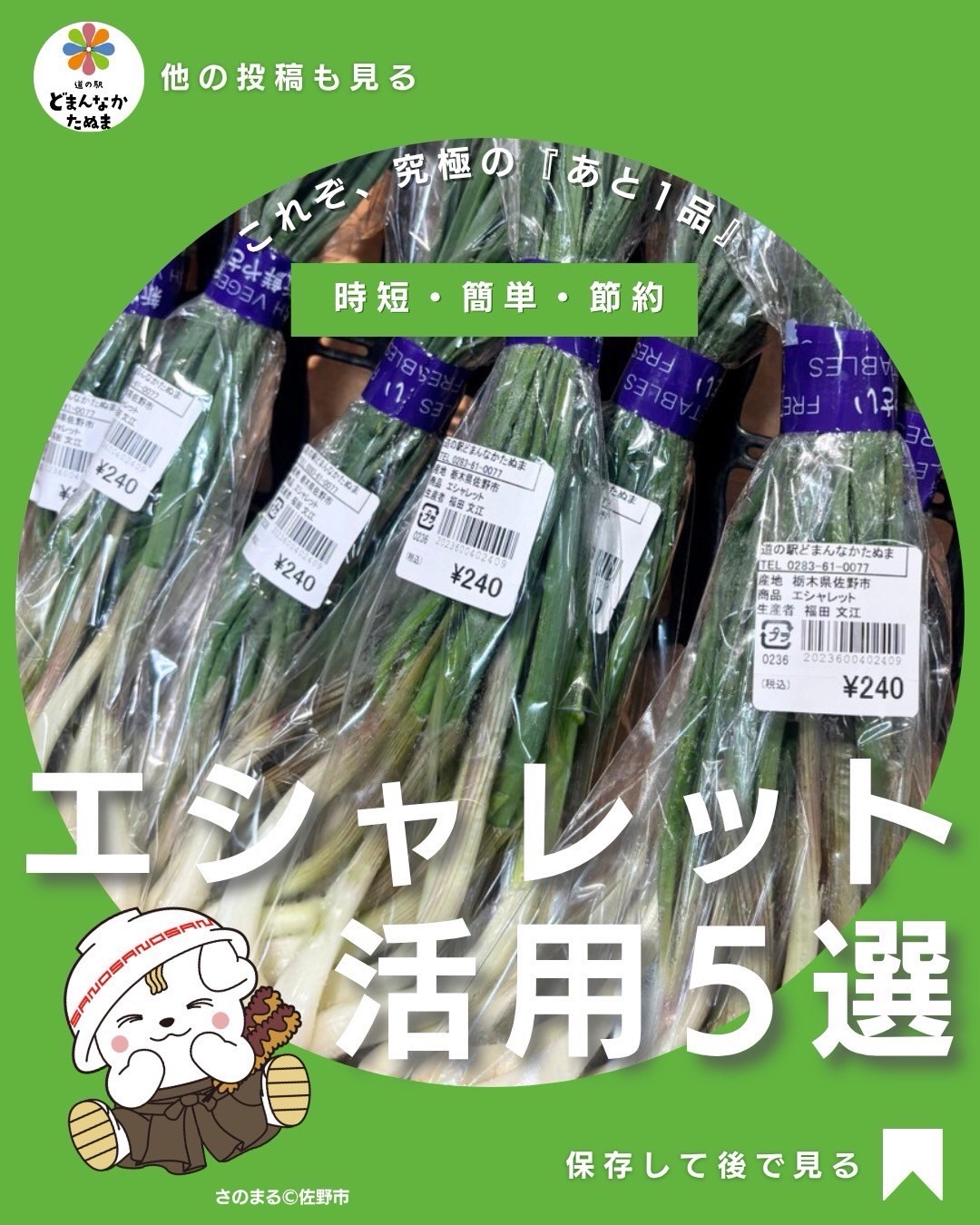 おはようございます
今週末のご予定はもう決まりましたか?
本日はエシャレットについてお届けします
当店で見かける「エシャレット」
気になって買ってみたけど
どう食べるか分からない…
そんなことありませんか?
実はエシャレットはとても手軽に食べられる便利な野菜です
そのままでも食べられて
シャキシャキ食感が特徴
少し味をつけるだけで
立派な1品になります
特におすすめなのは
味噌マヨ
切らずにそのまま
つけて食べるだけなので
忙しい日でもすぐ出せます
また浅漬けにしておくと
作り置きもできて
あと1品に困りません
豚バラ巻きにすると
ボリュームも出るので
メインおかずにもなります
エシャレットは
意外と使い道が多い野菜です
もし道の駅どまんなかたぬまで見かけたら試してみてください
保存方法はキッチンペーパーで包んで野菜室に入れるだけ
刻んで冷凍しておくと
すぐ使えて便利です
あとでレシピを見返せるよう
この投稿は保存がおすすめです
どの食べ方が気になるか
ぜひコメントで教えてください